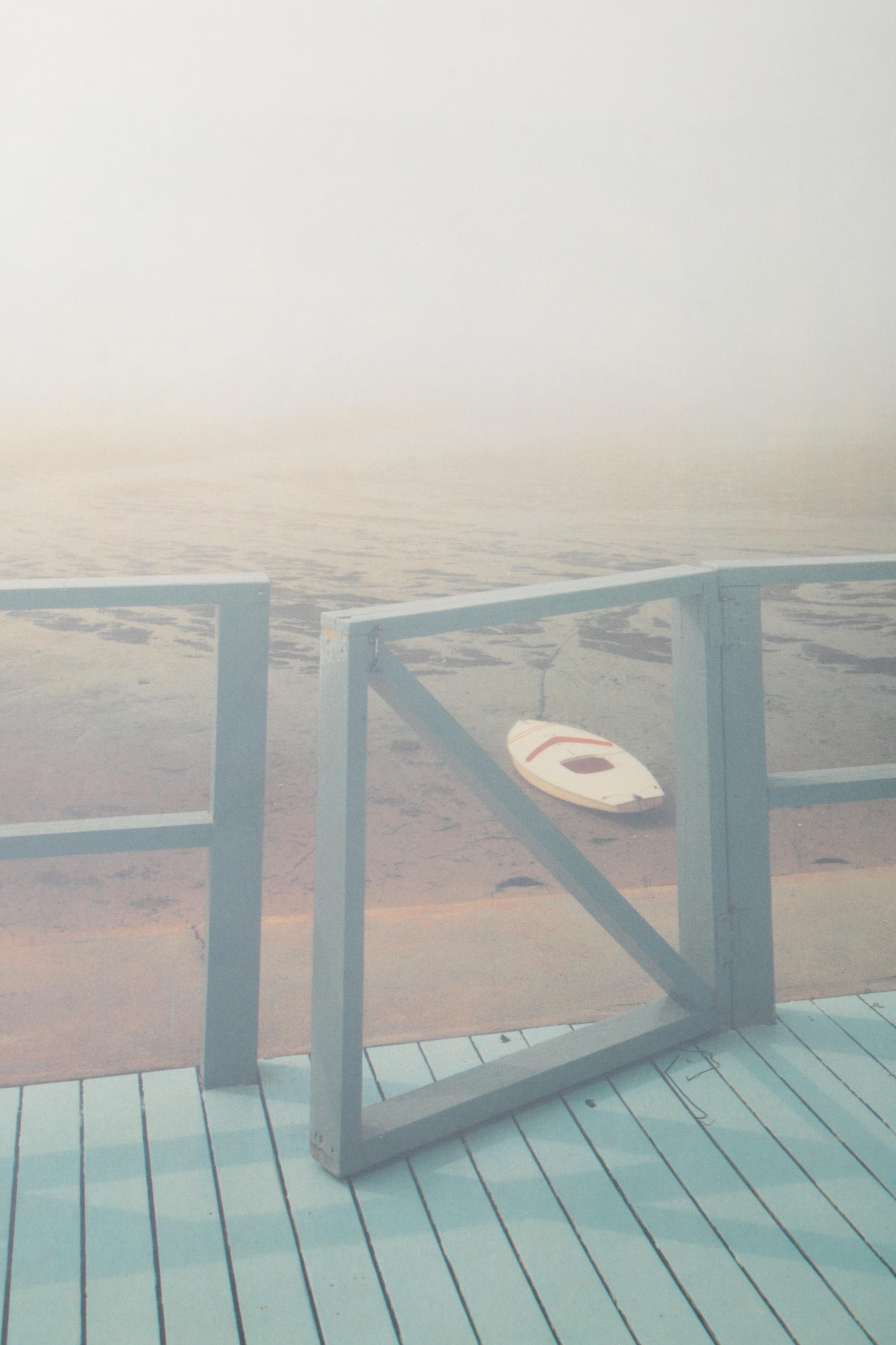 Three Photobooks by Joel Meyerowitz Including a 1st Edition of " Wild Flowers"