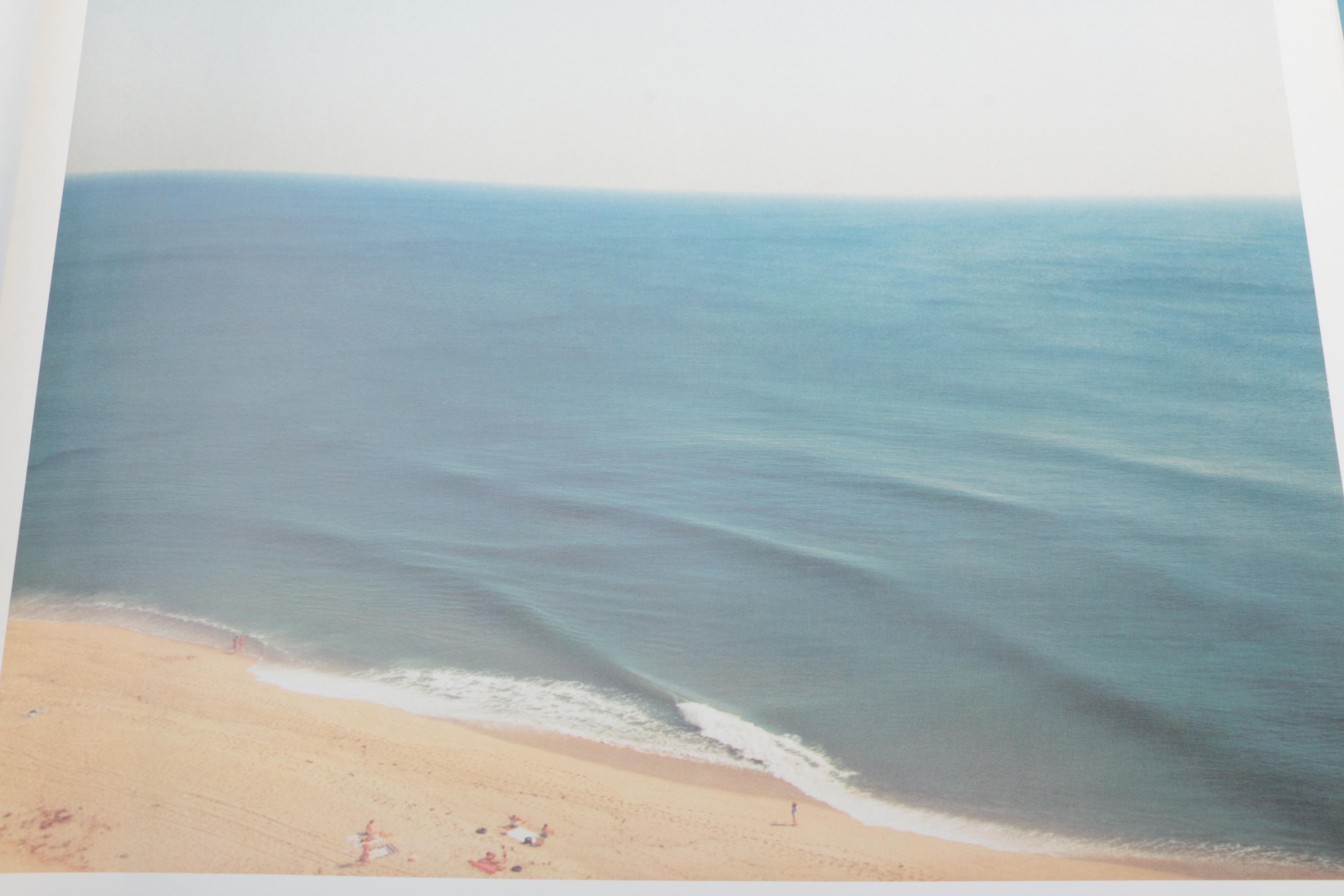 Three Photobooks by Joel Meyerowitz Including a 1st Edition of " Wild Flowers"