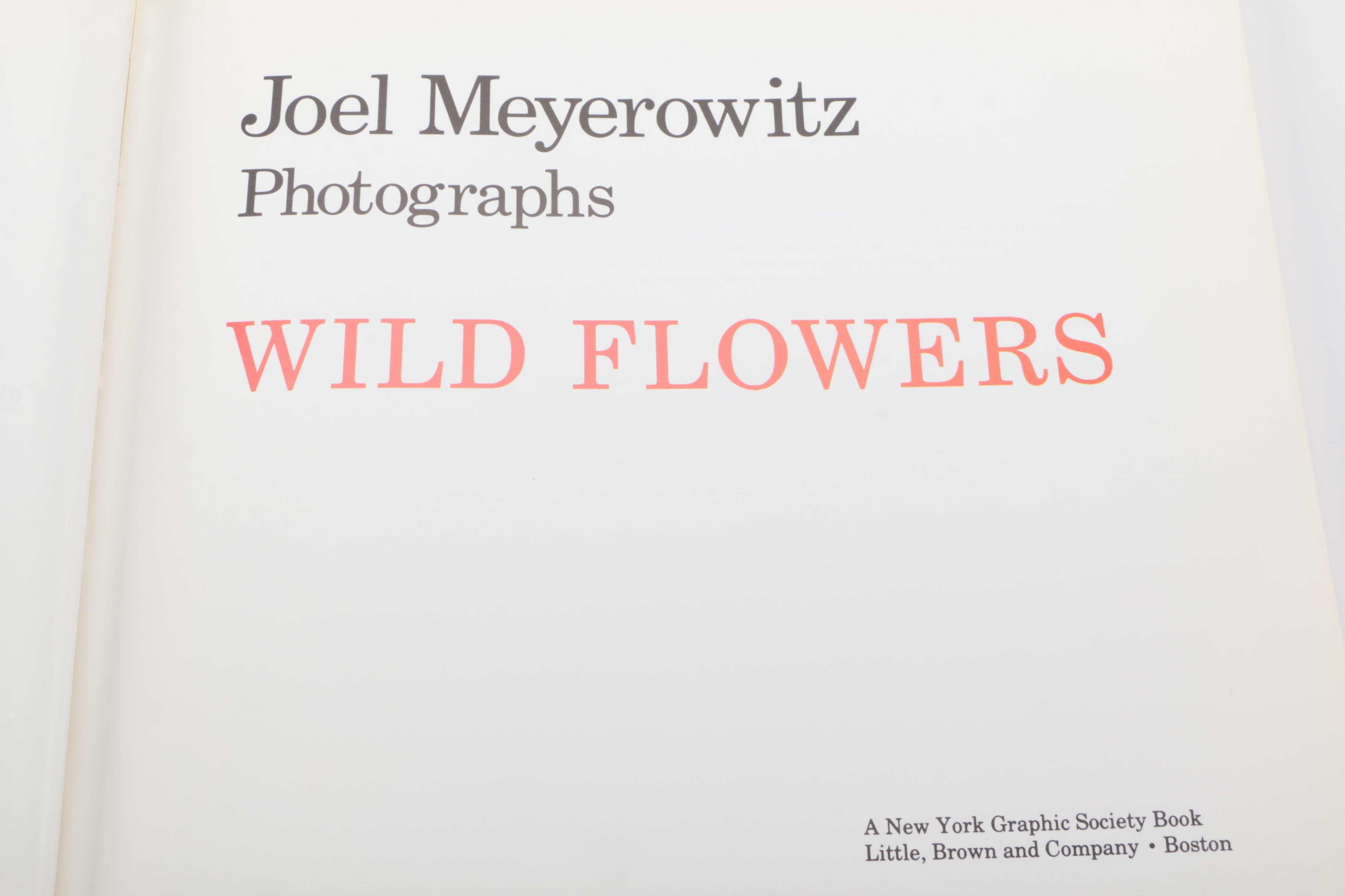 Three Photobooks by Joel Meyerowitz Including a 1st Edition of " Wild Flowers"