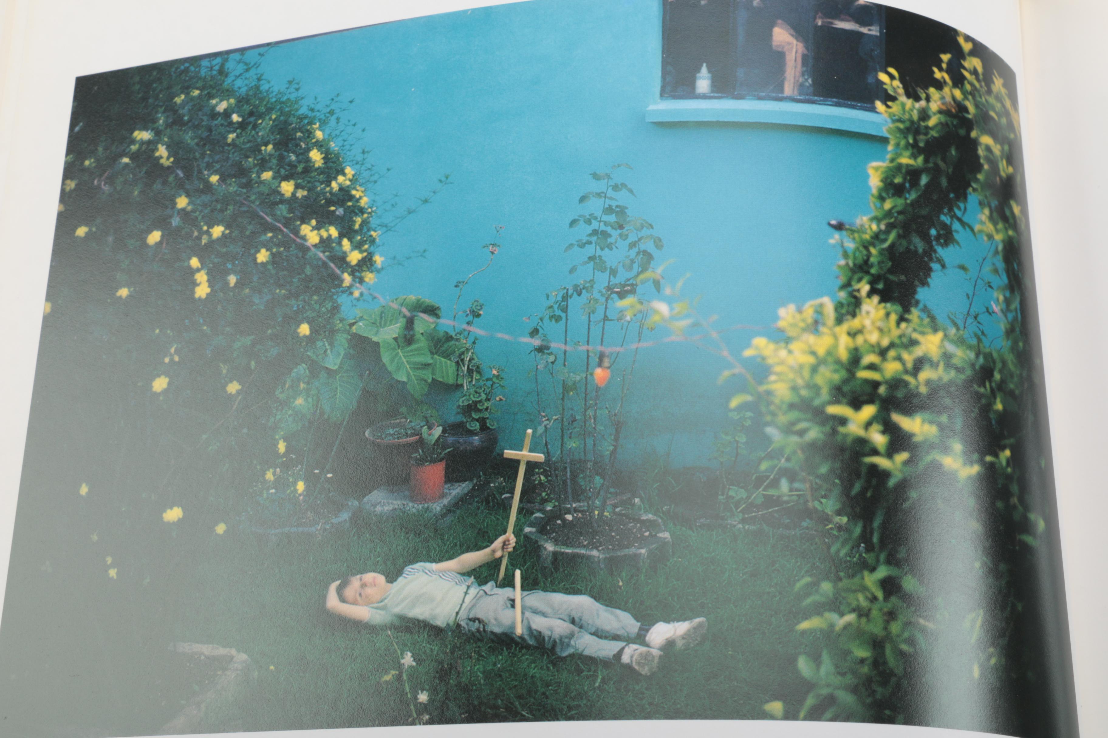 Three Photobooks by Joel Meyerowitz Including a 1st Edition of " Wild Flowers"