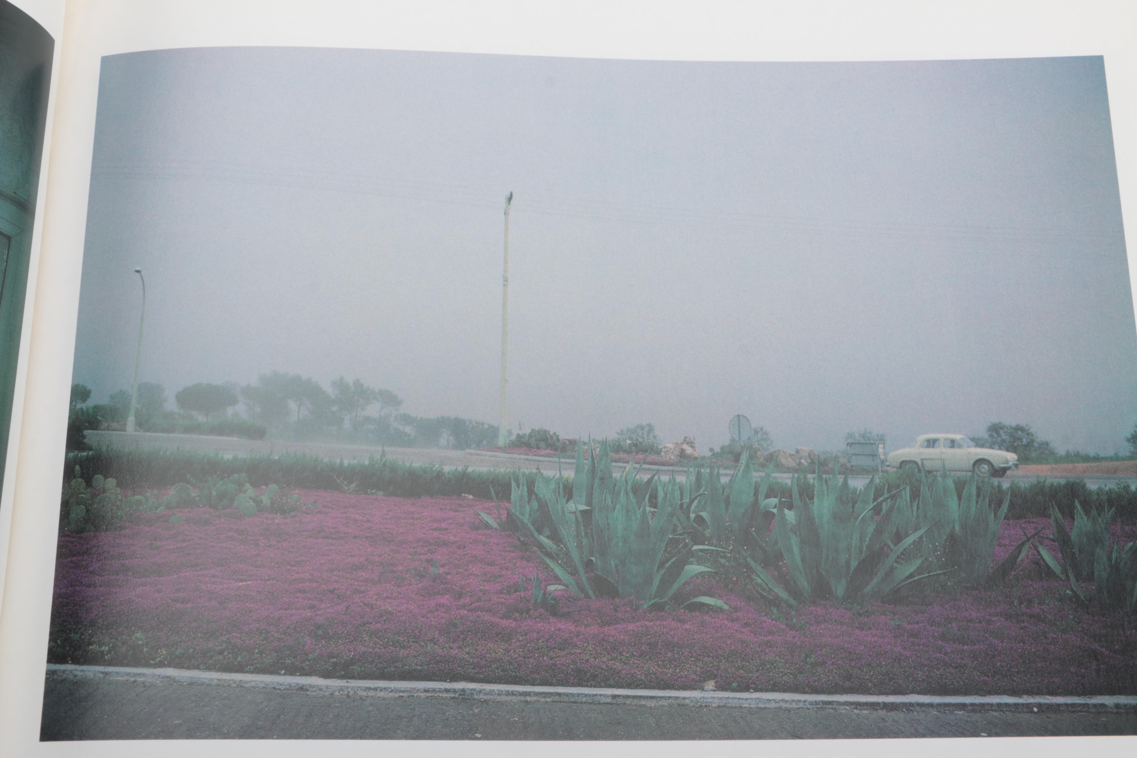 Three Photobooks by Joel Meyerowitz Including a 1st Edition of " Wild Flowers"