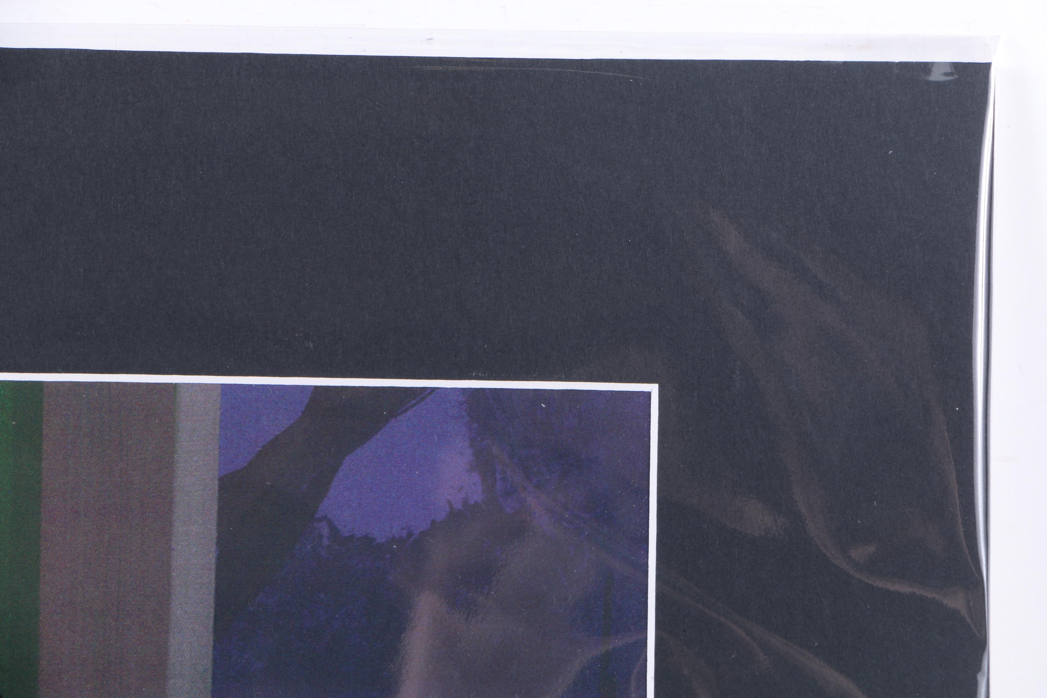 Limited Edition "Scooby Doo" Sericels