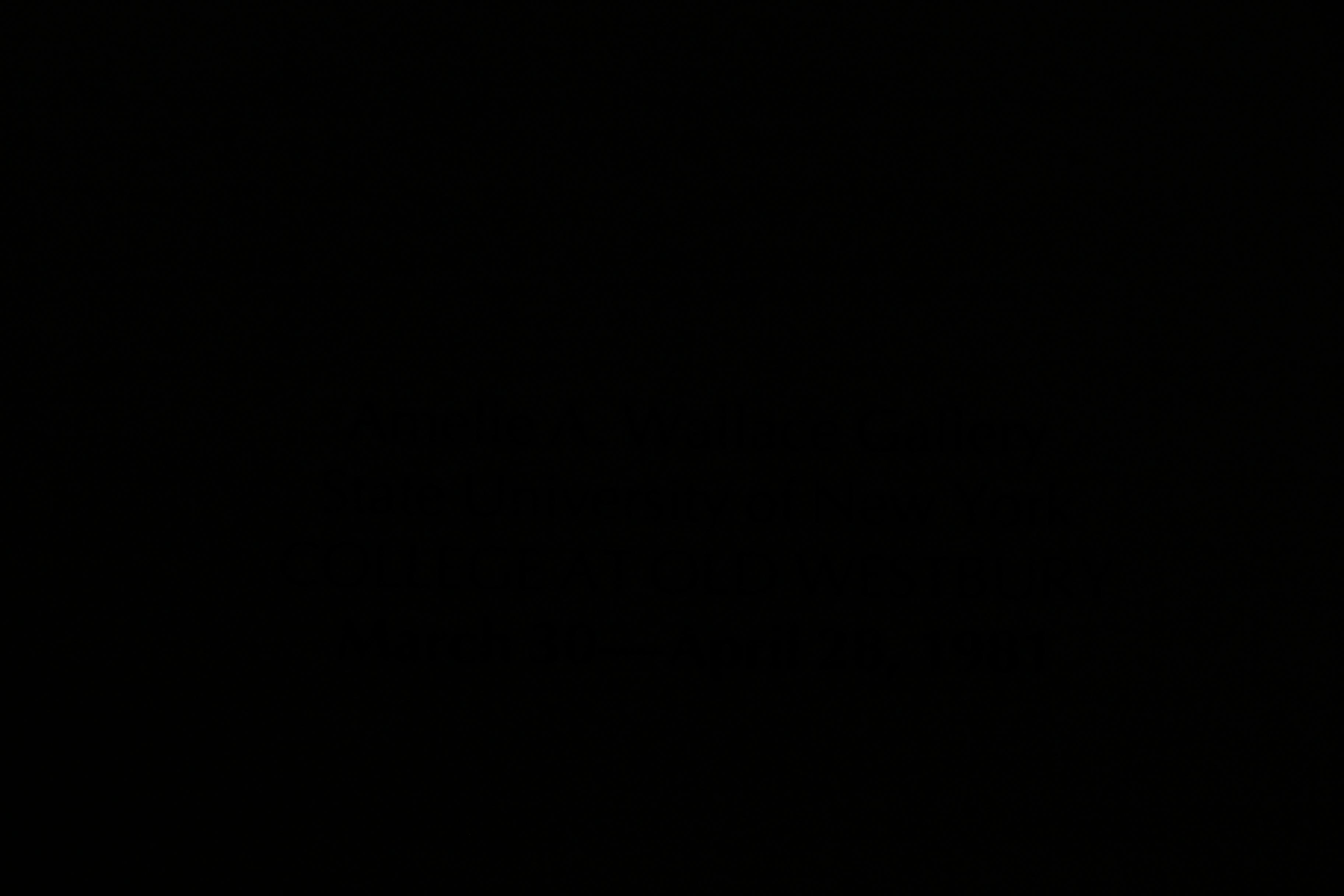 Walter Rosenblum Photographic Memorabilia Collection, Including Signed Lewis Hin