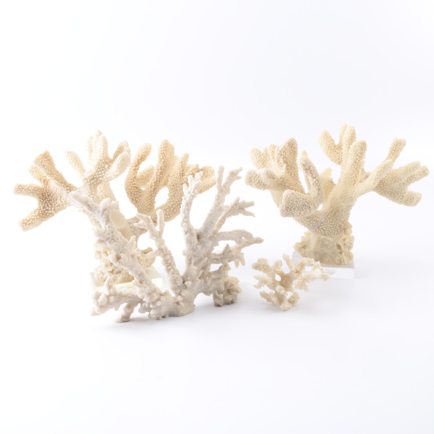 Resin Coral Décor