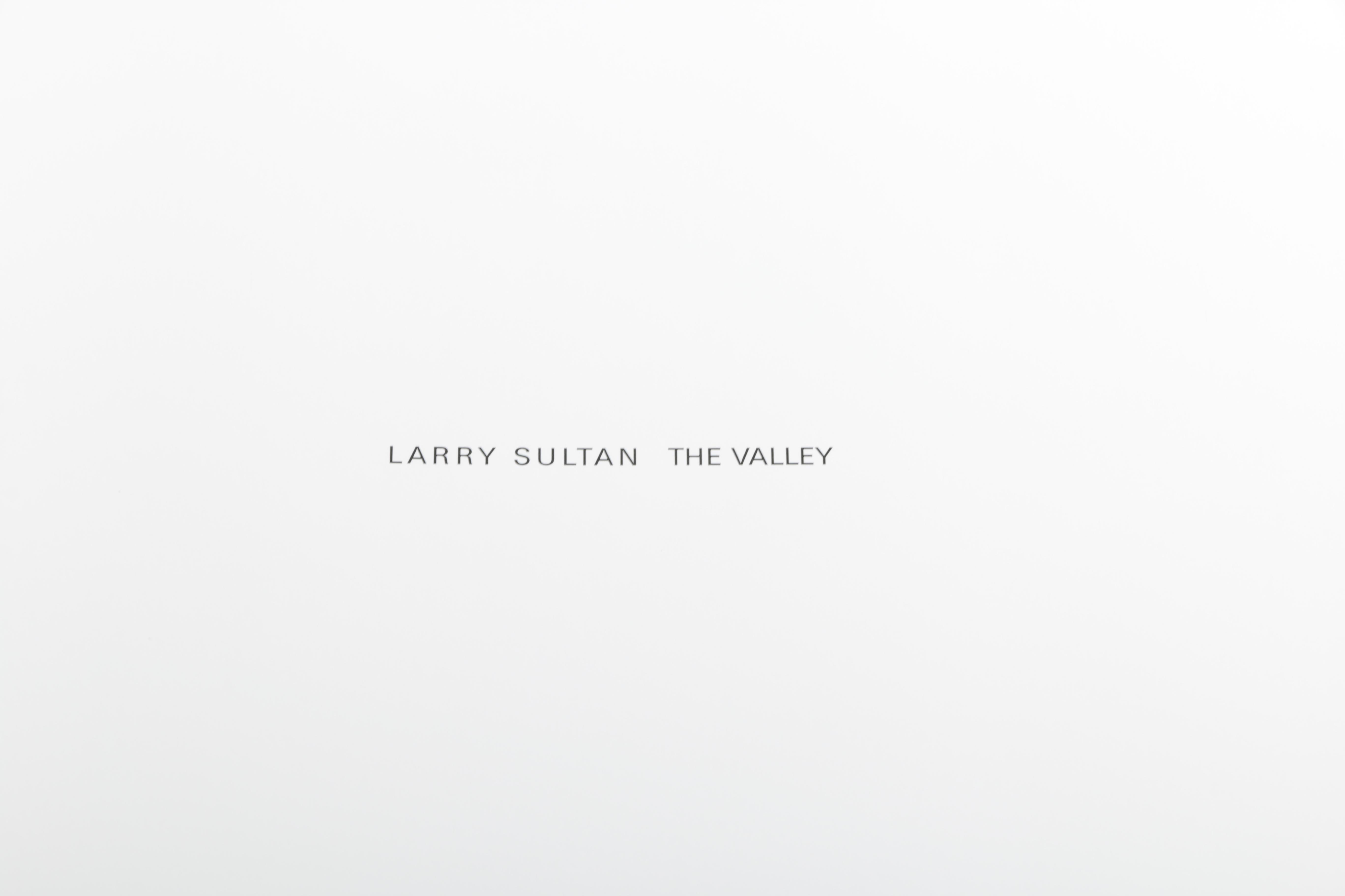 2004 "The Valley" by Larry Sultan