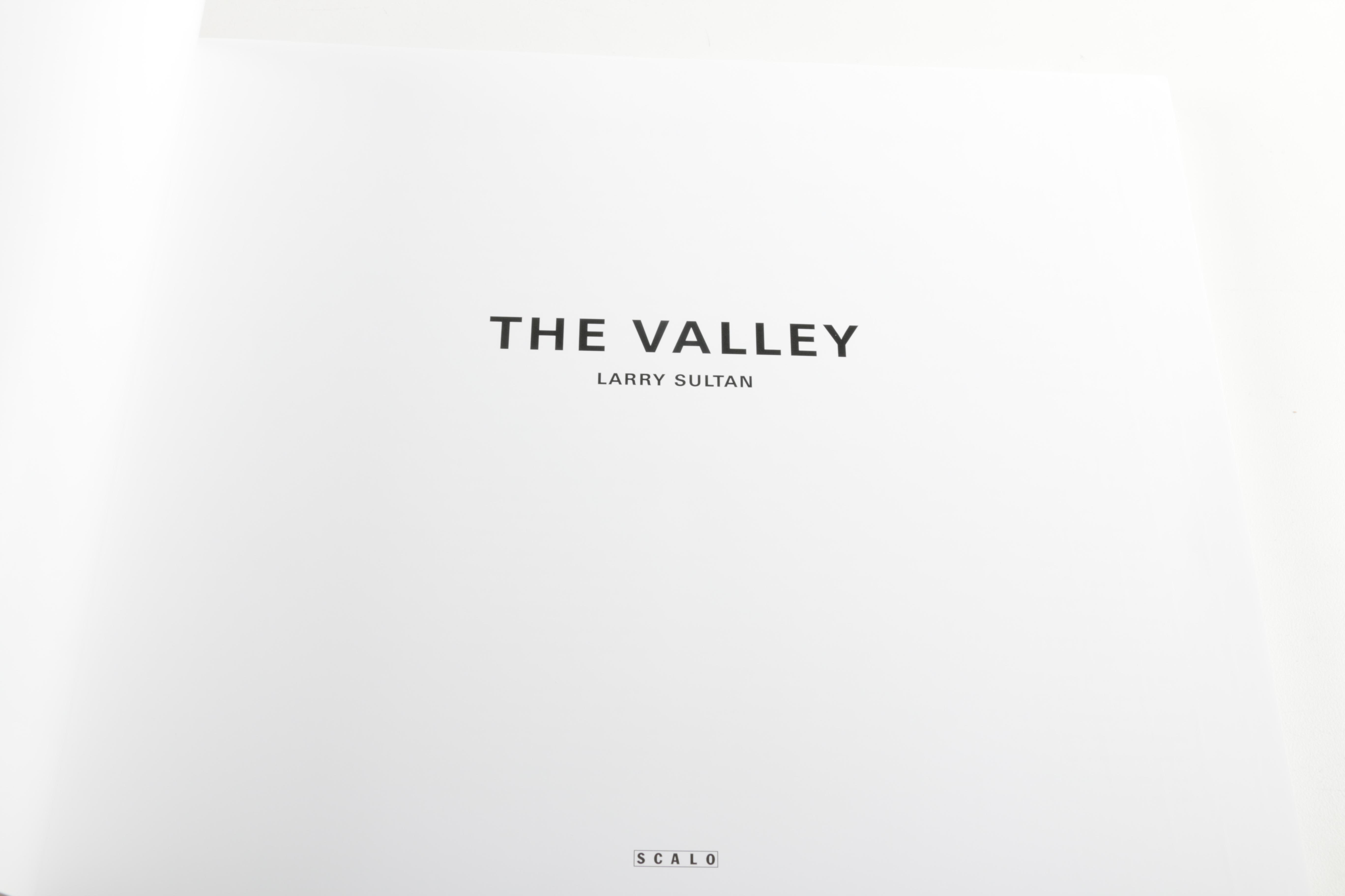 2004 "The Valley" by Larry Sultan