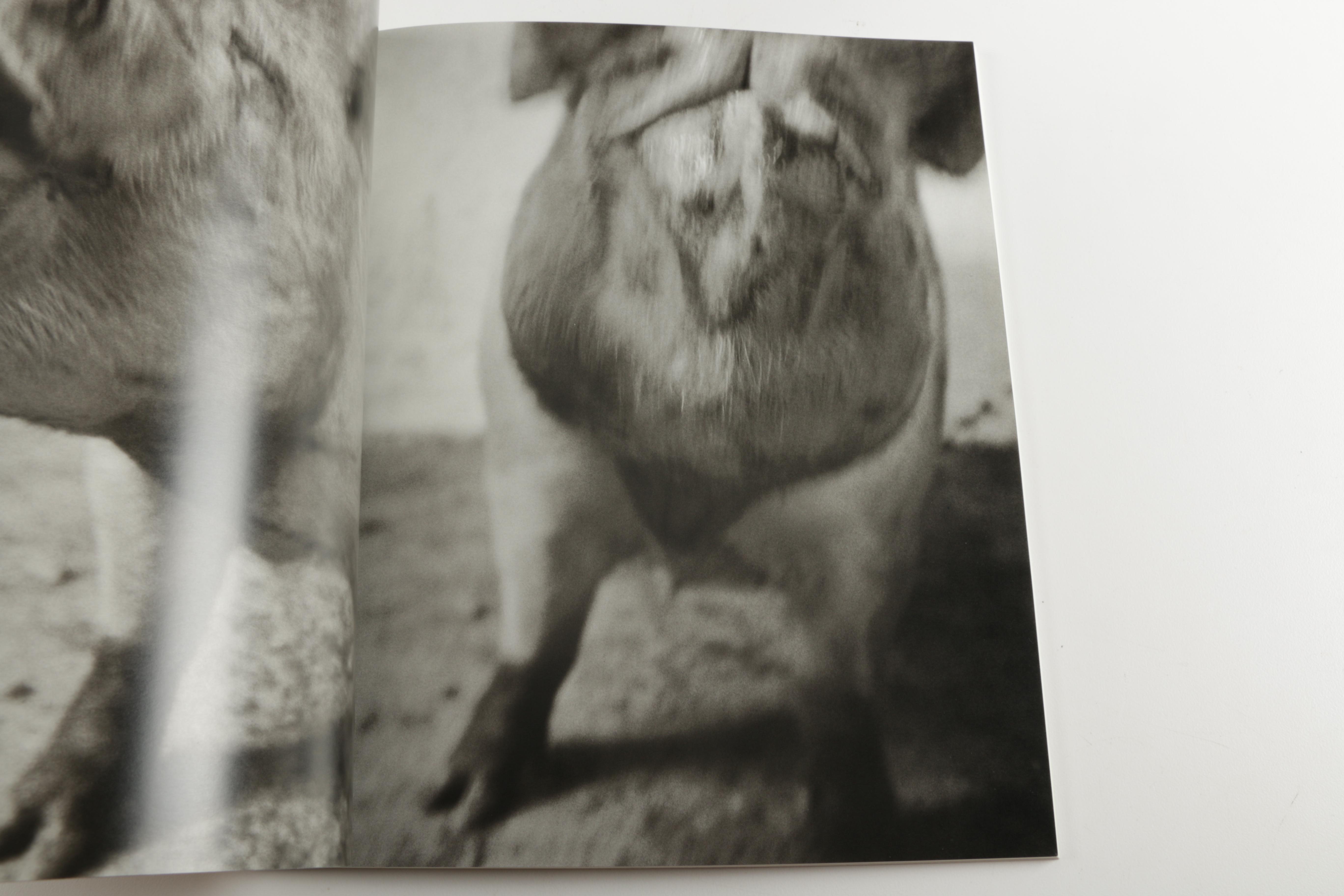 "Blind Spot" Periodicals Complete Run Premier Issue Through No.29