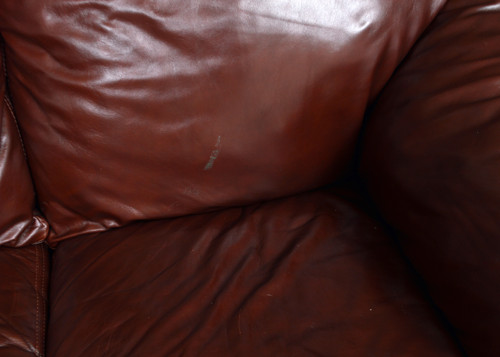 "Durango" Reclining Sofa