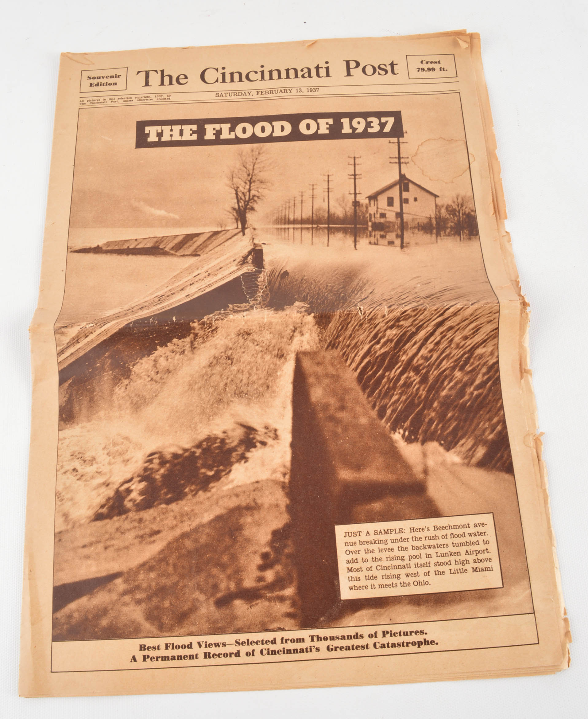 Cincinnati Collection