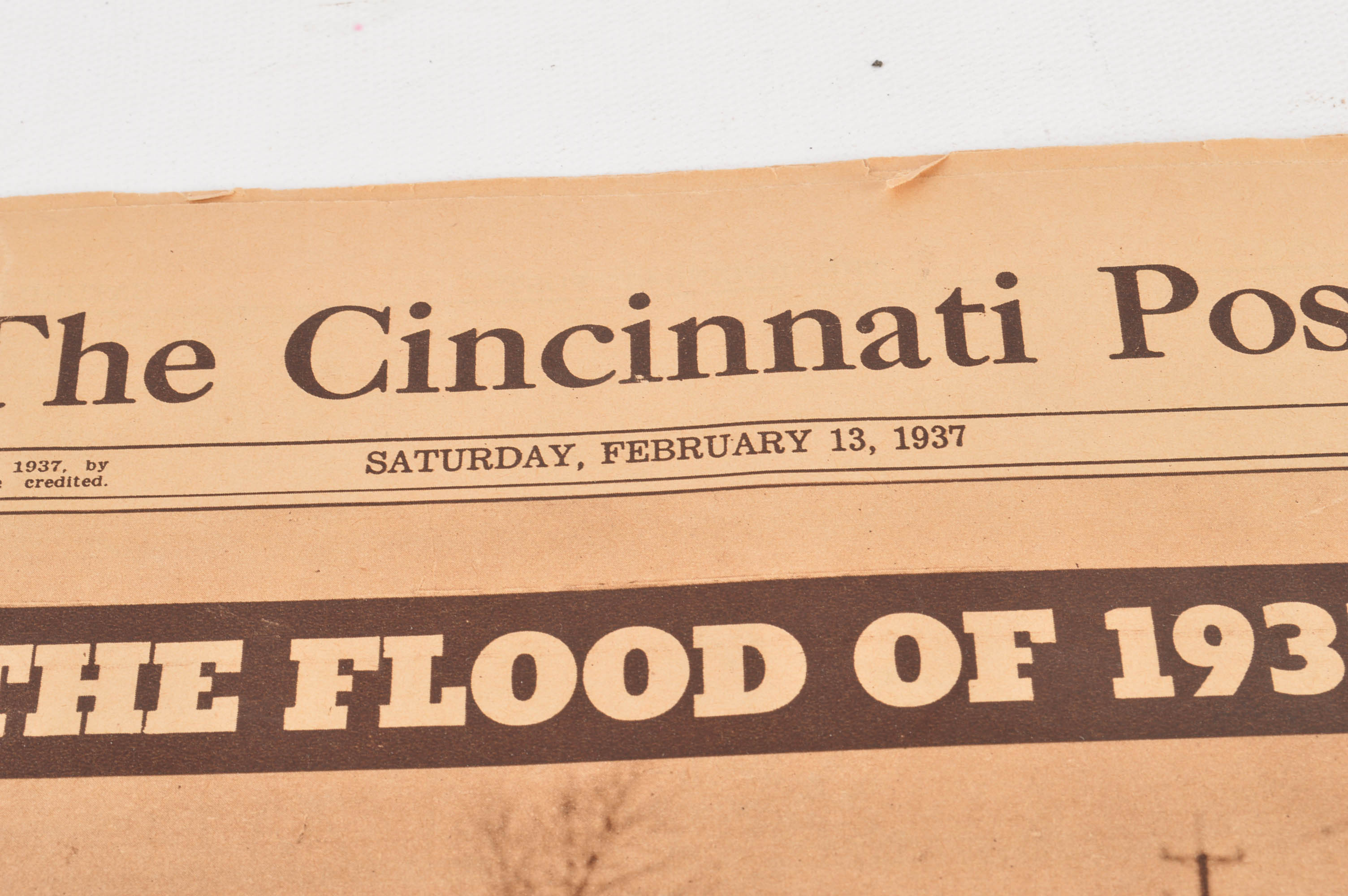 Cincinnati Collection