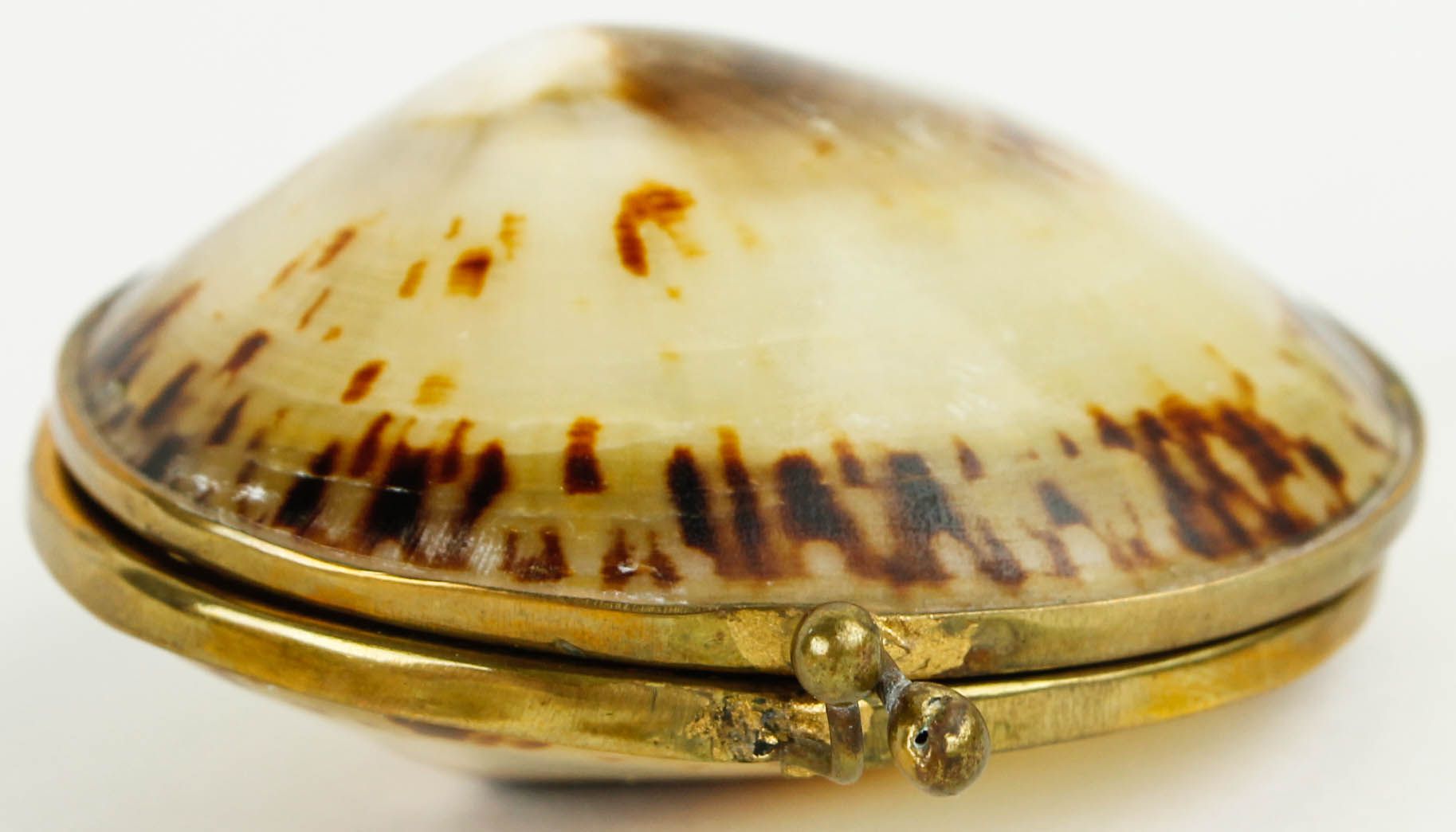 Costume Jewelry and Accessories Featuring Shells