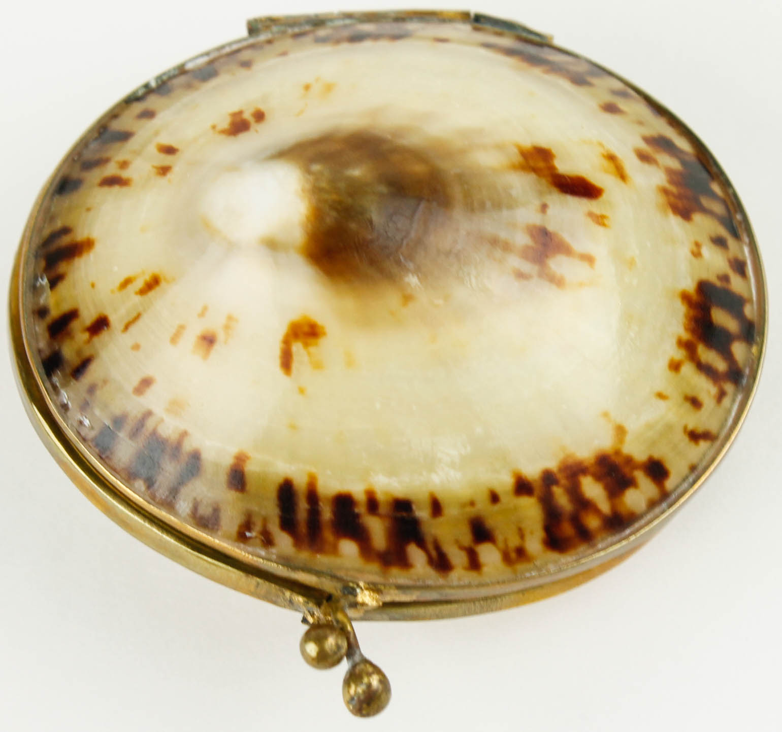 Costume Jewelry and Accessories Featuring Shells