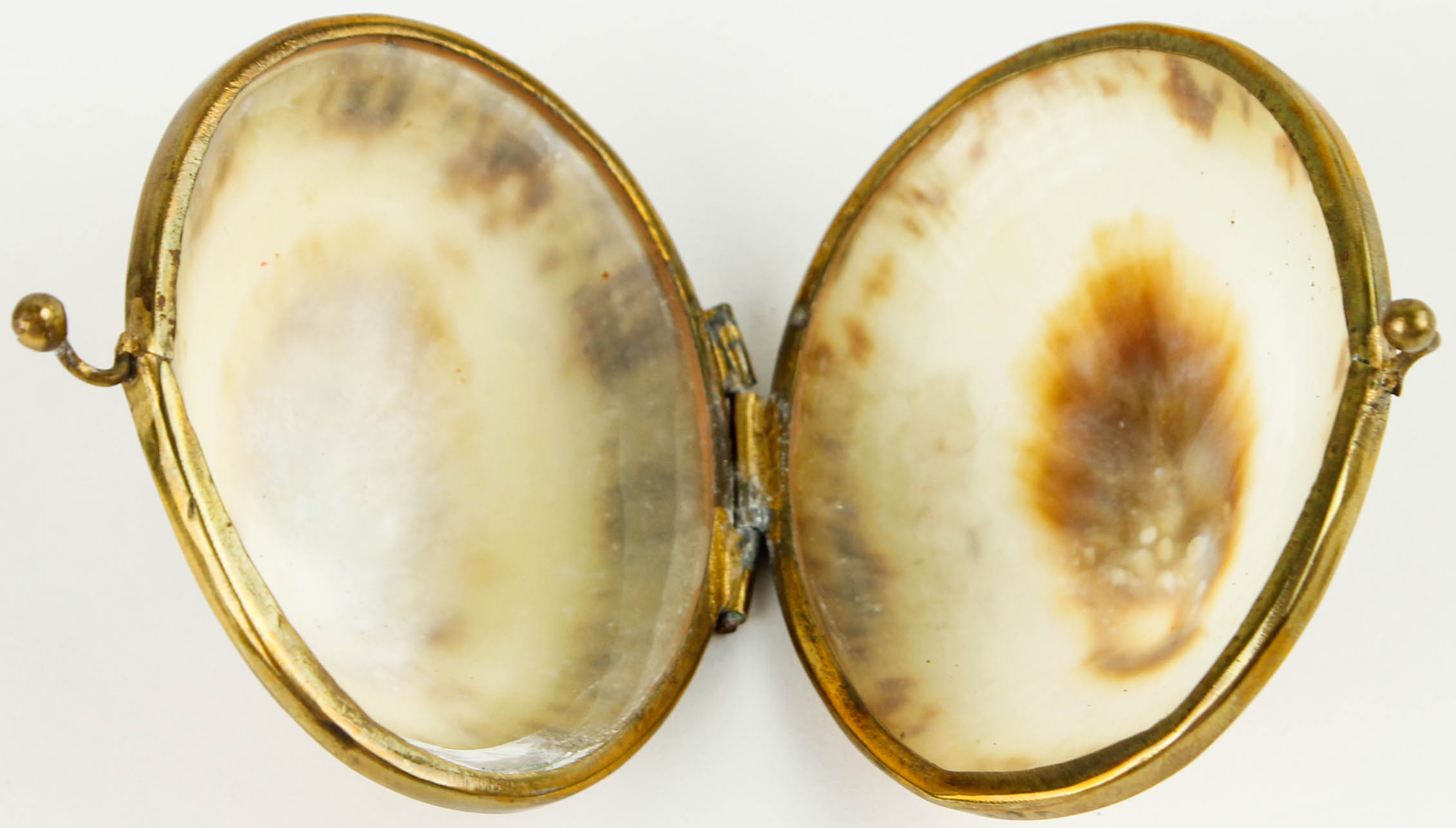 Costume Jewelry and Accessories Featuring Shells