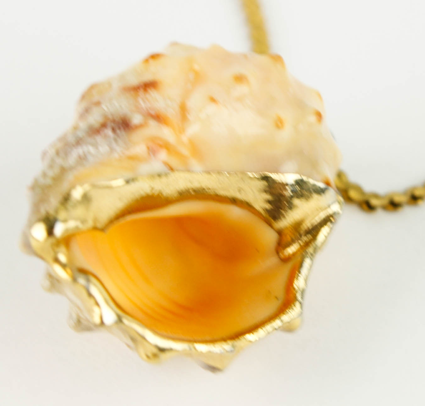 Costume Jewelry and Accessories Featuring Shells