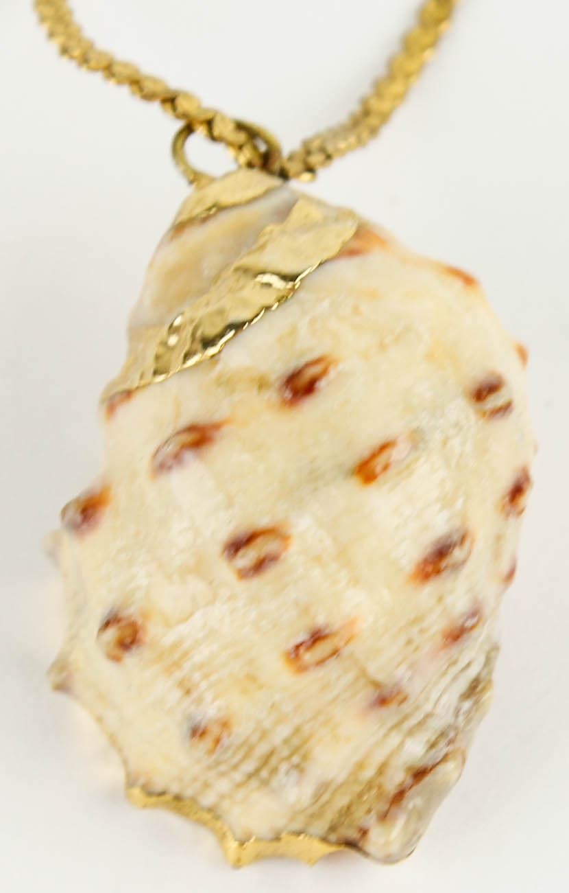 Costume Jewelry and Accessories Featuring Shells
