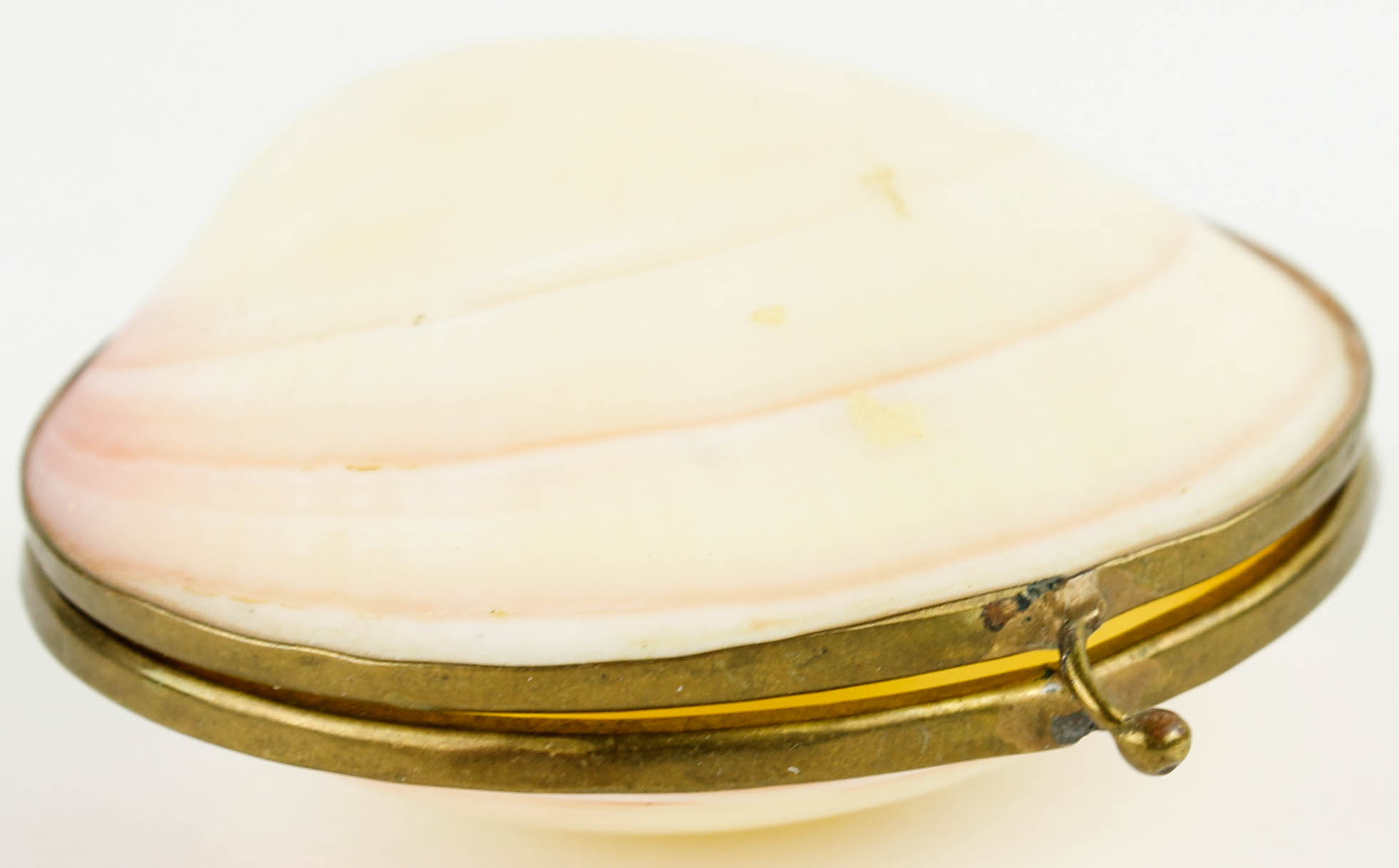 Costume Jewelry and Accessories Featuring Shells