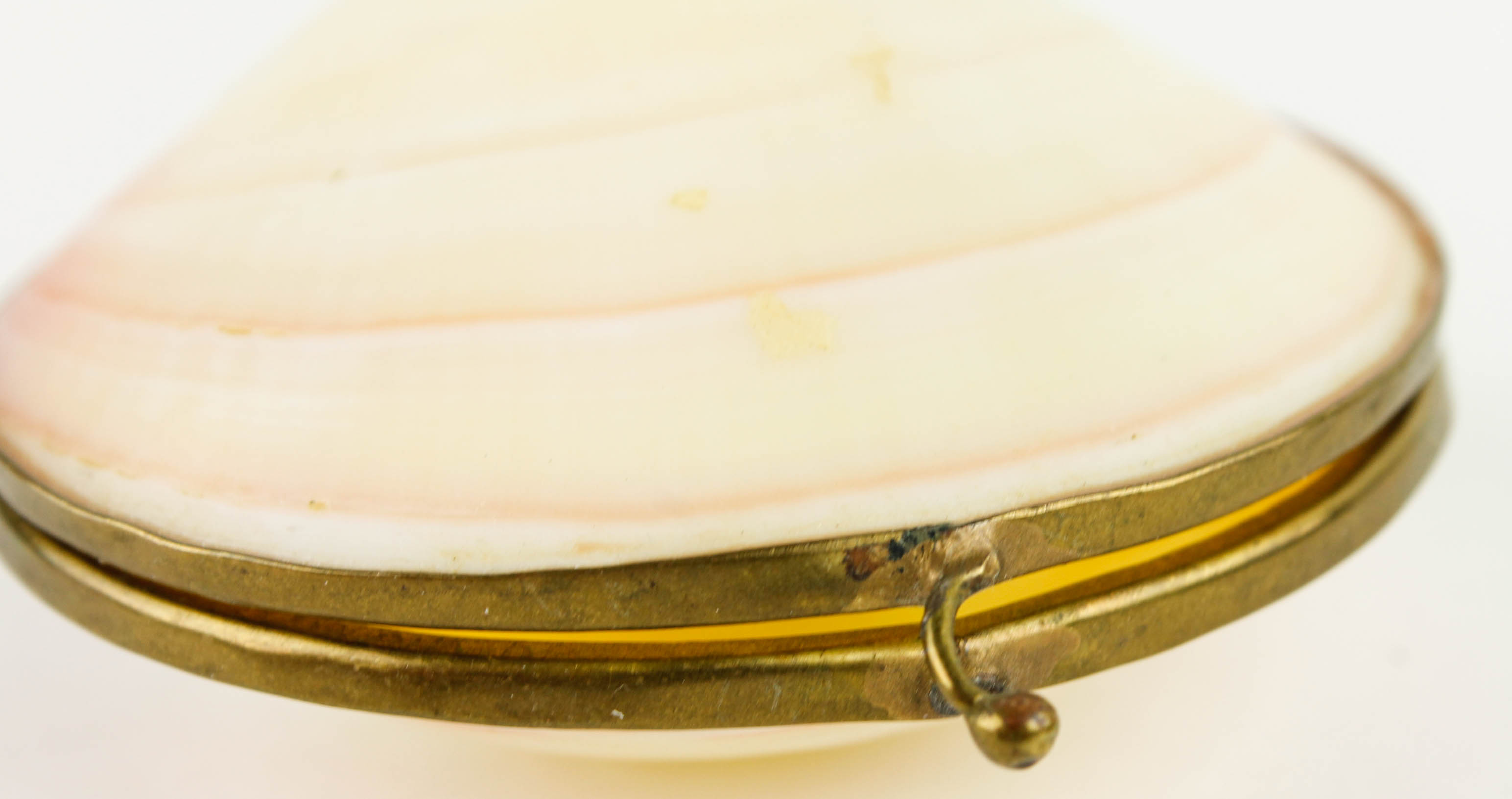 Costume Jewelry and Accessories Featuring Shells