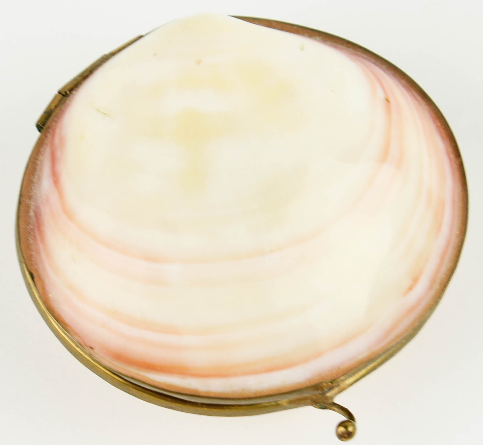 Costume Jewelry and Accessories Featuring Shells