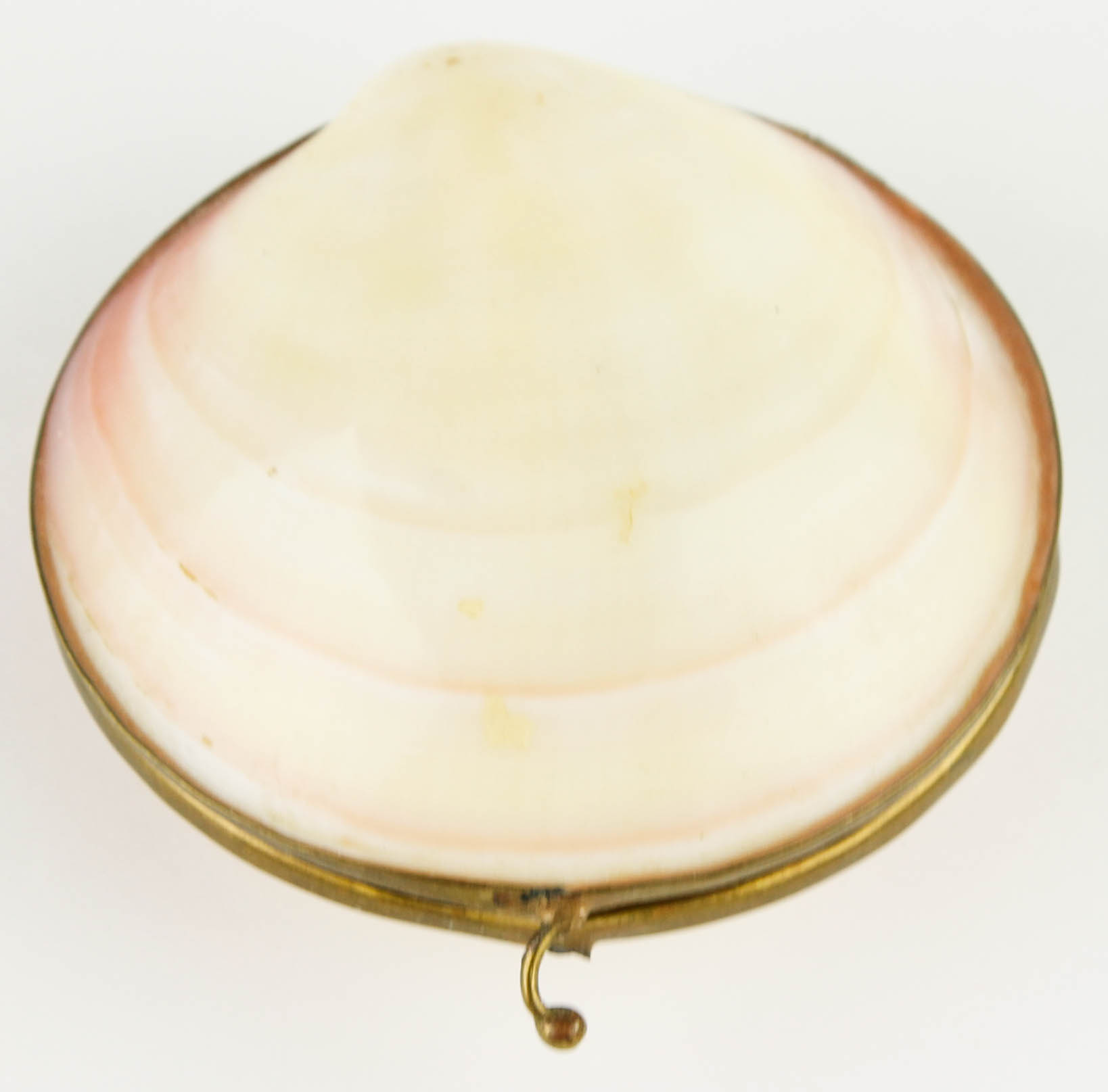 Costume Jewelry and Accessories Featuring Shells