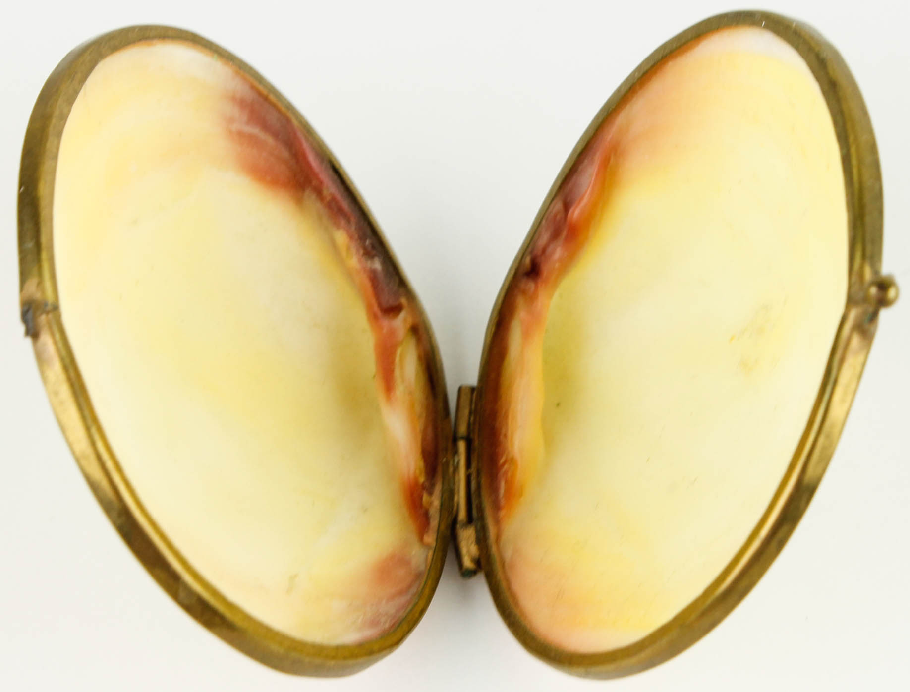 Costume Jewelry and Accessories Featuring Shells