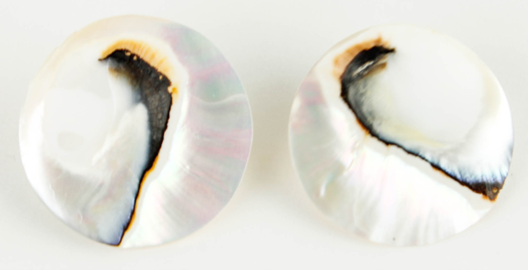 Costume Jewelry and Accessories Featuring Shells