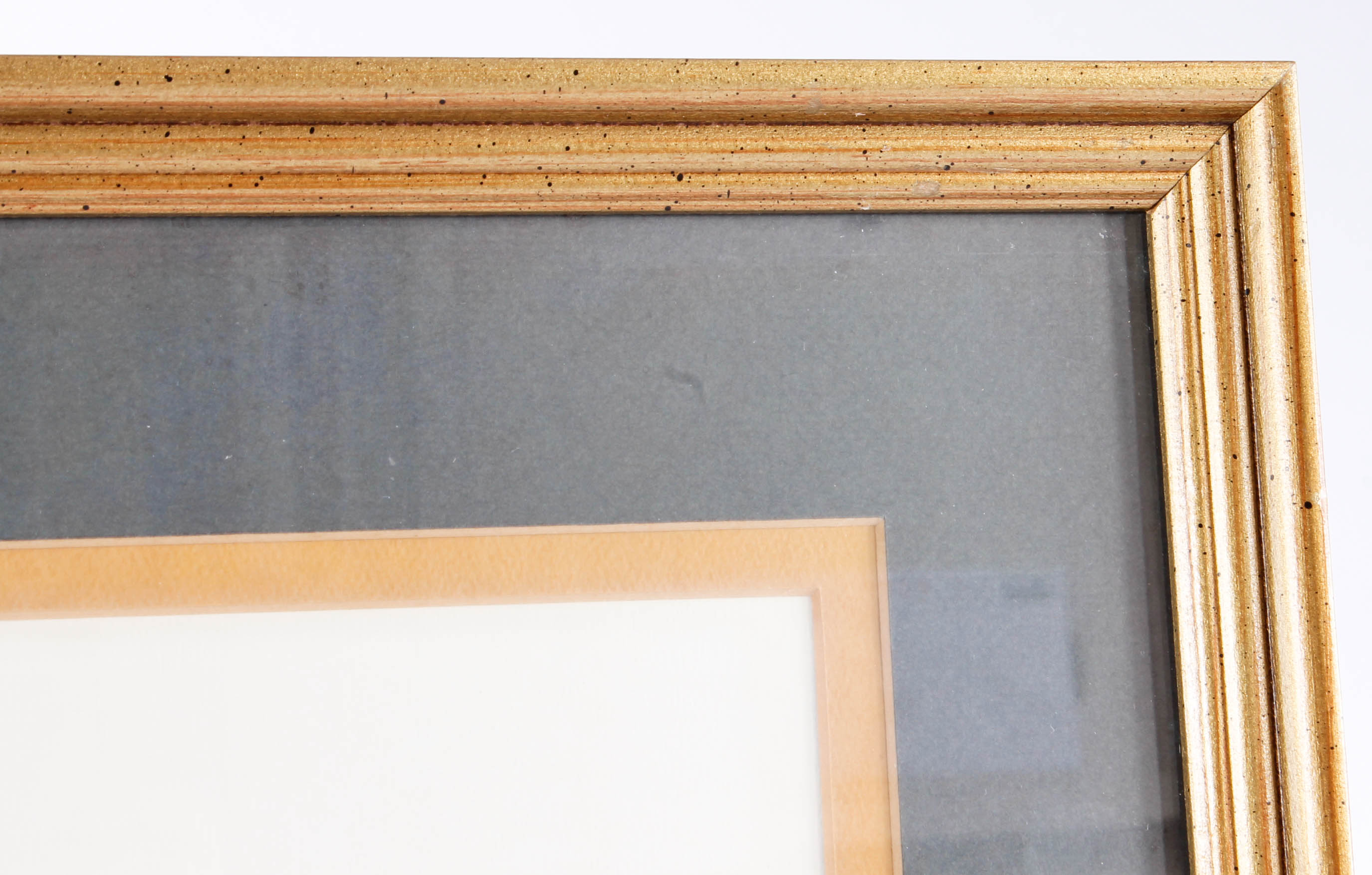 Millicent Tomkins Decorative Prints