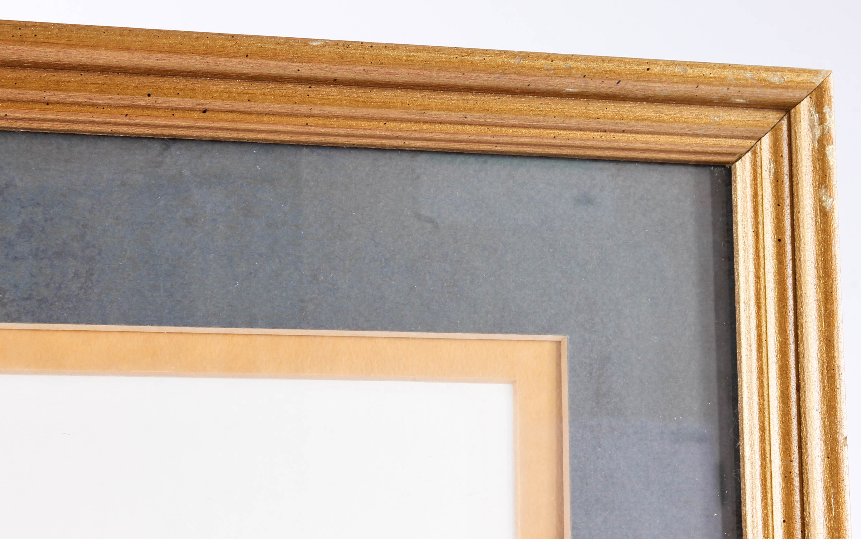 Millicent Tomkins Decorative Prints