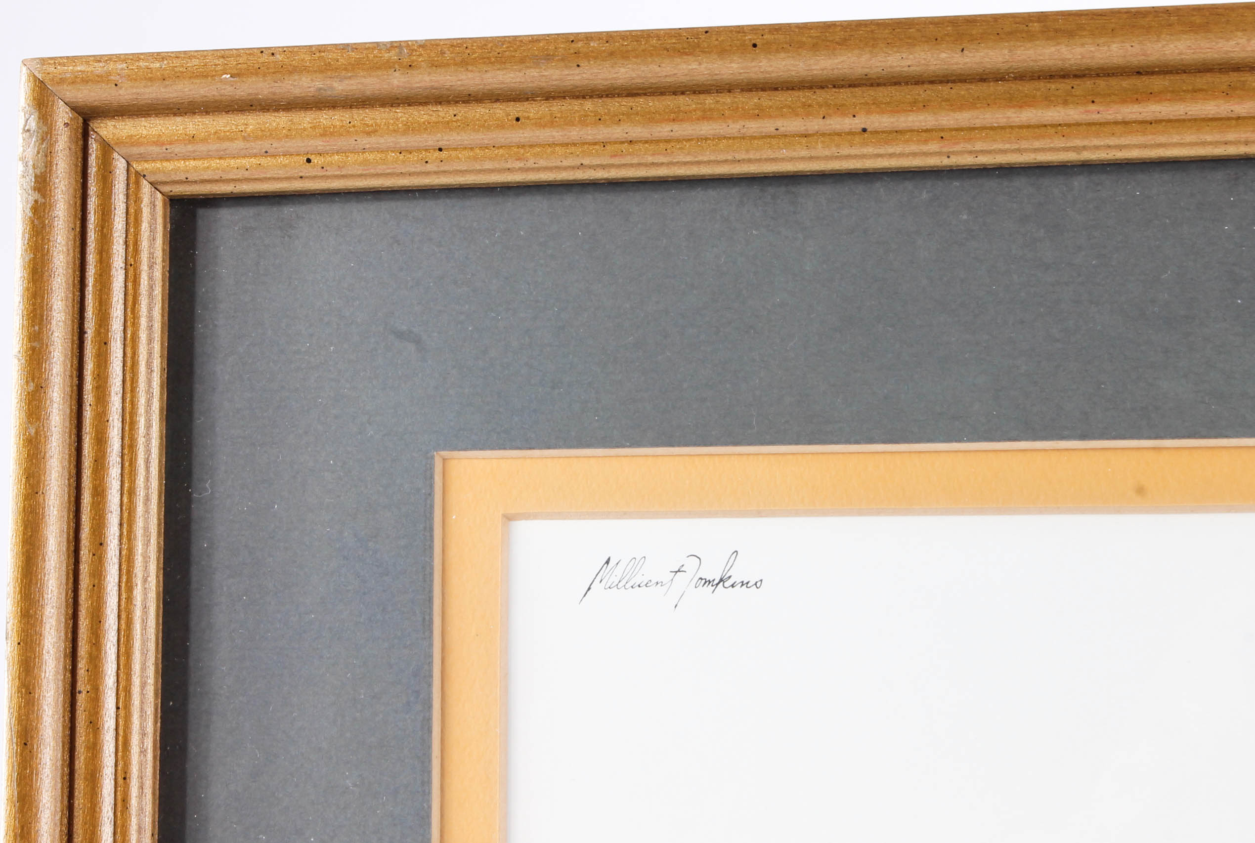 Millicent Tomkins Decorative Prints