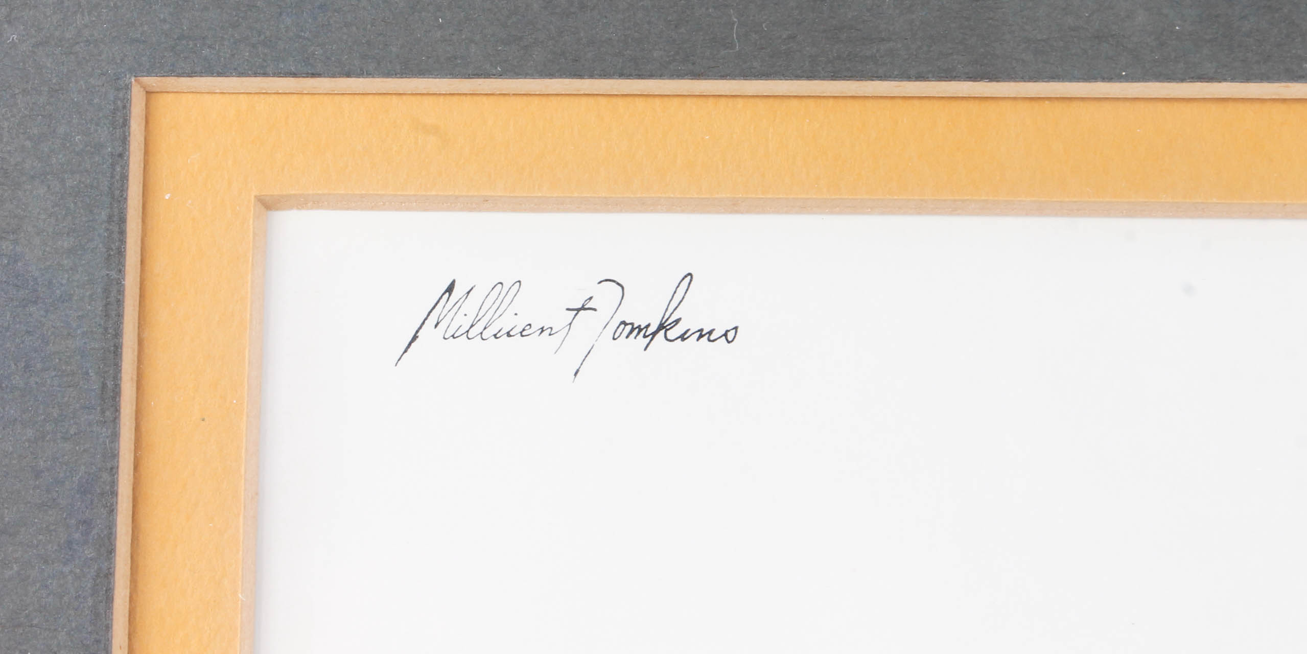 Millicent Tomkins Decorative Prints