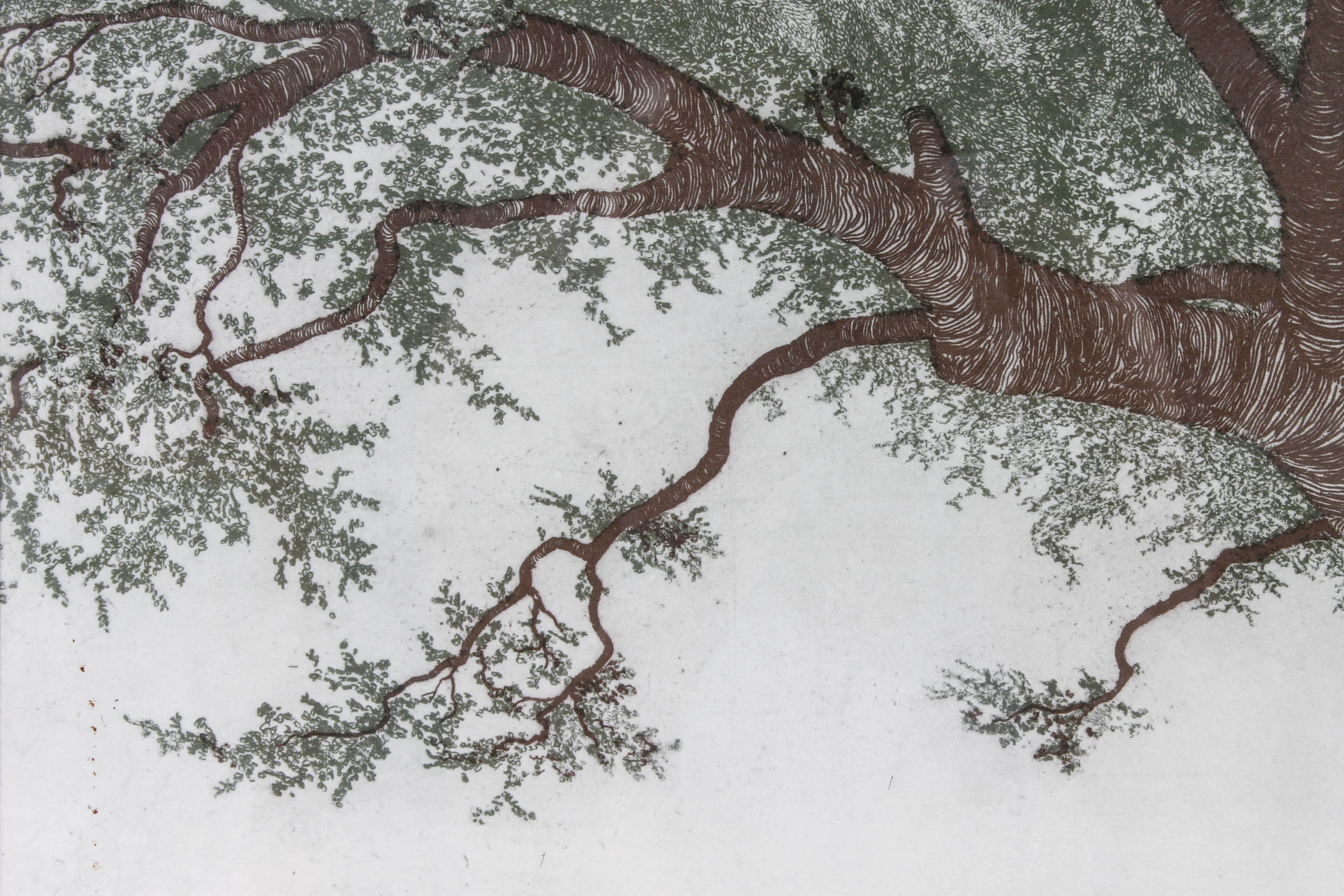 Offset Lithograph of Large Tree