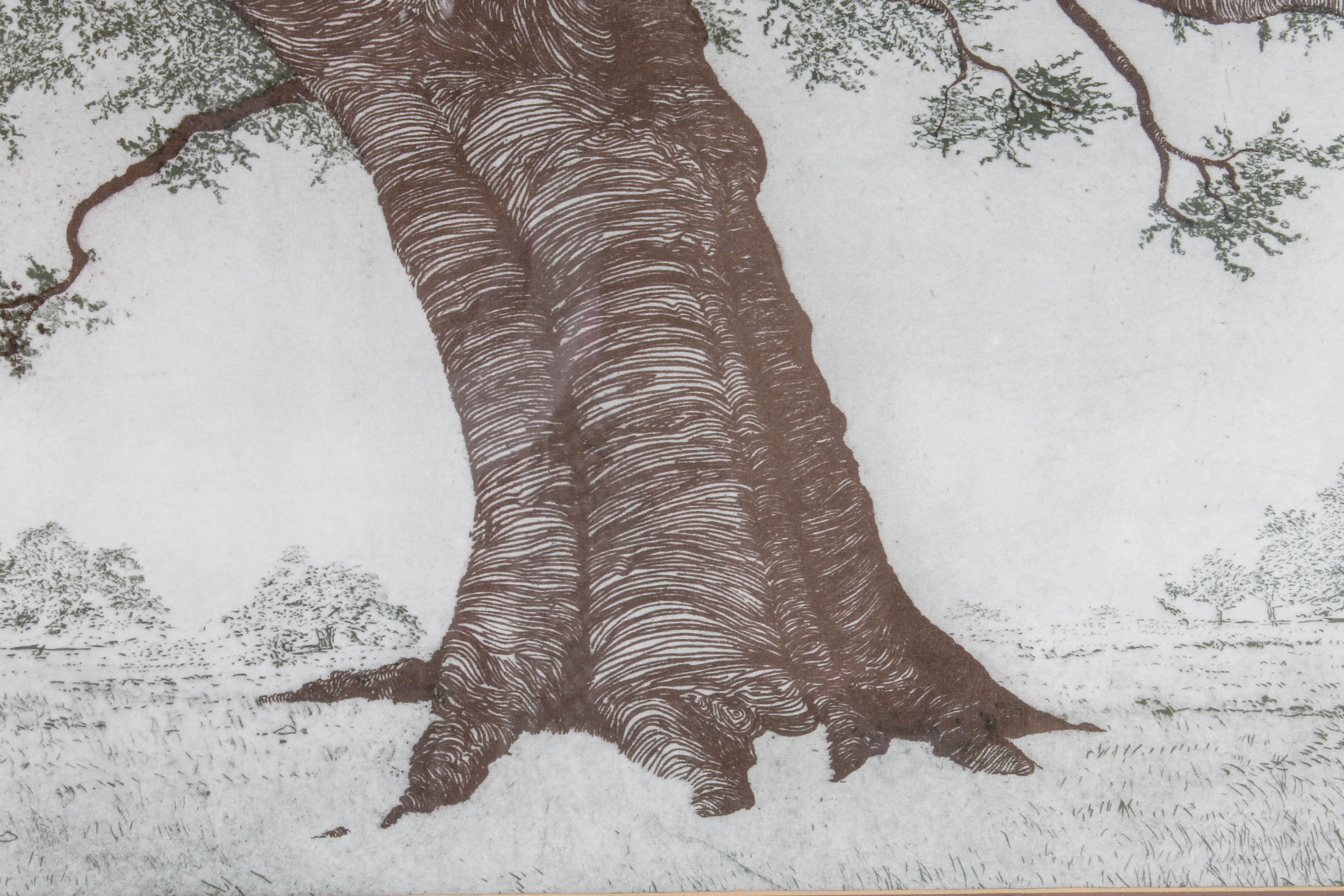 Offset Lithograph of Large Tree