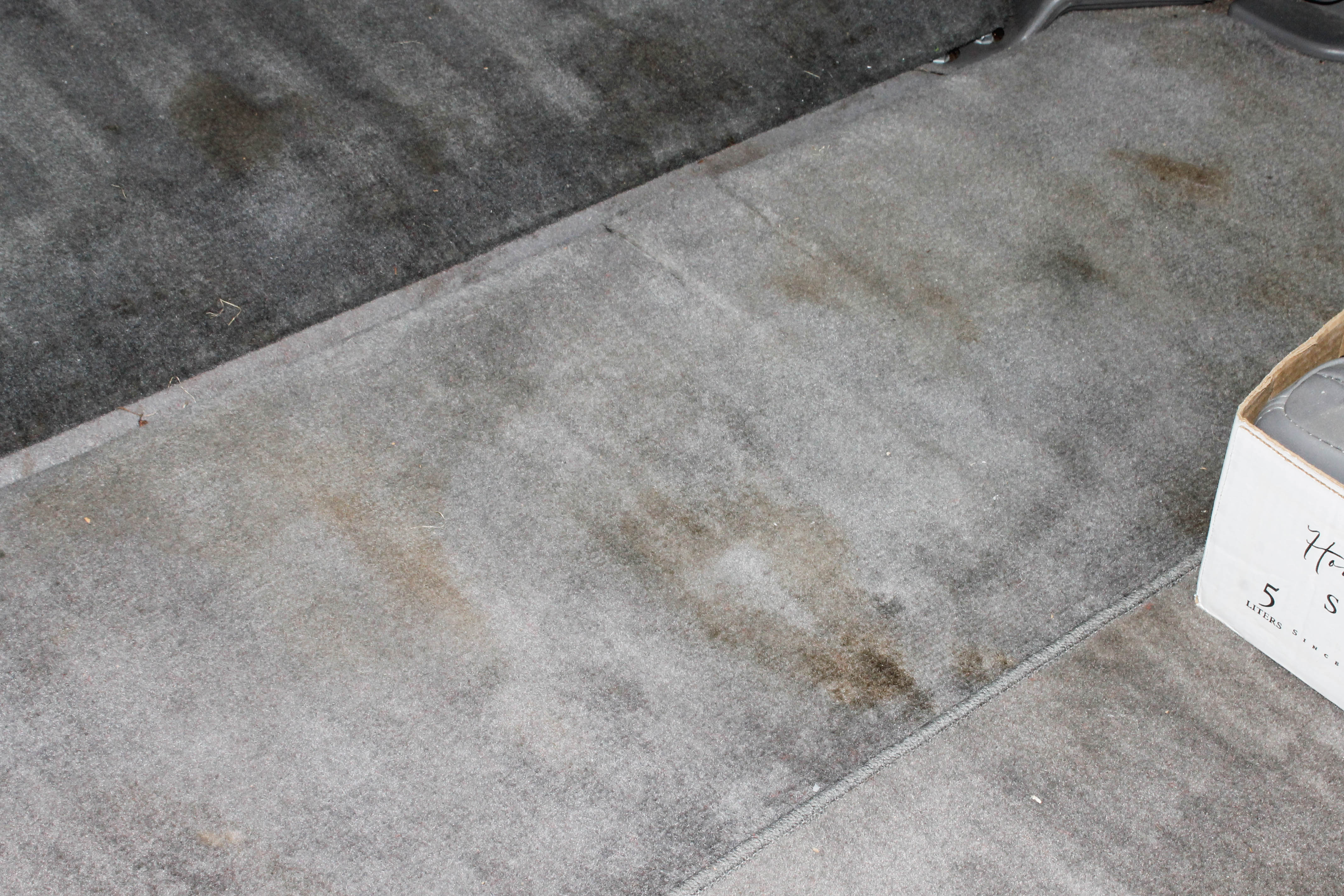 2004 Honda Odyssey Minivan