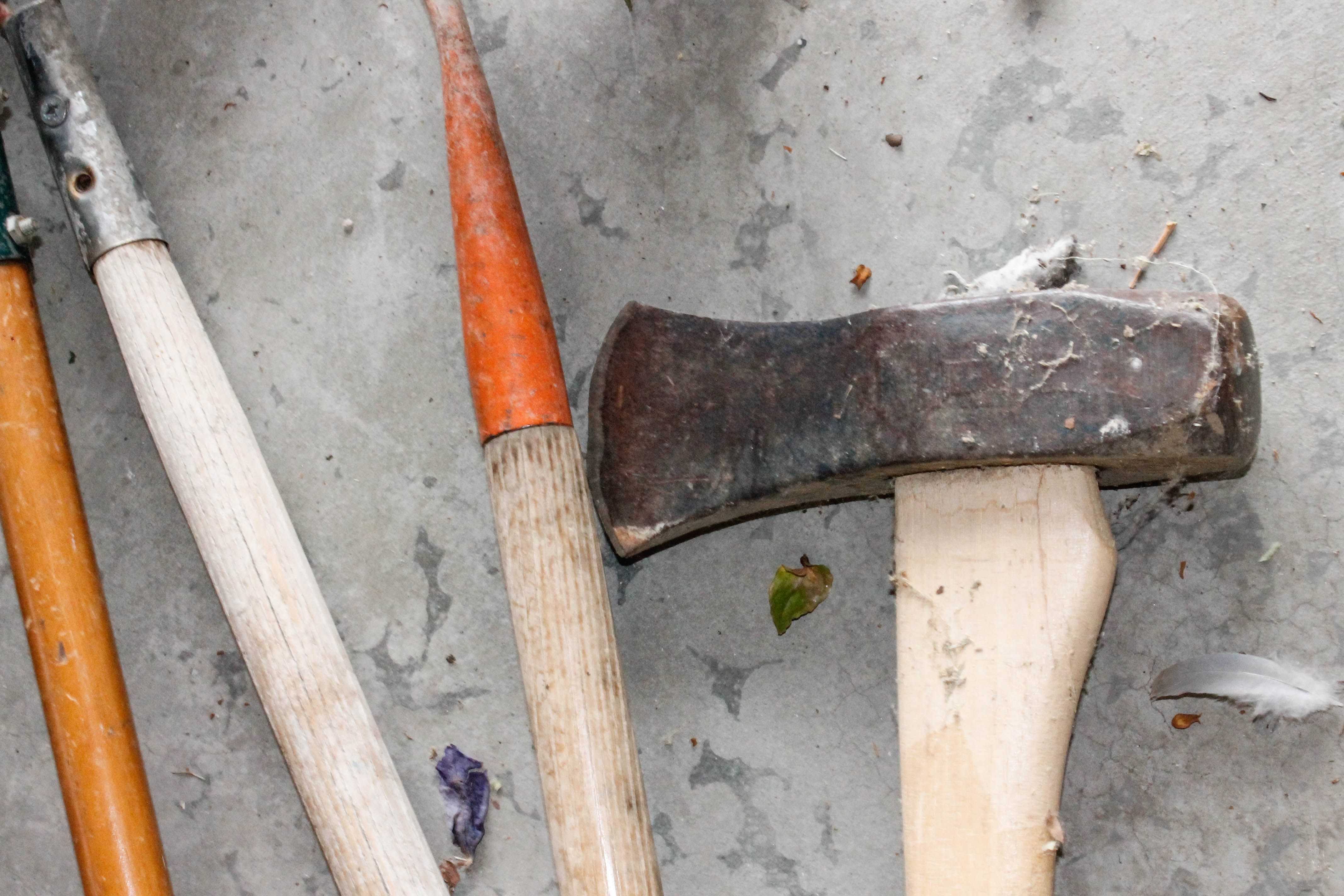 Collection of Yard and Garden Tools