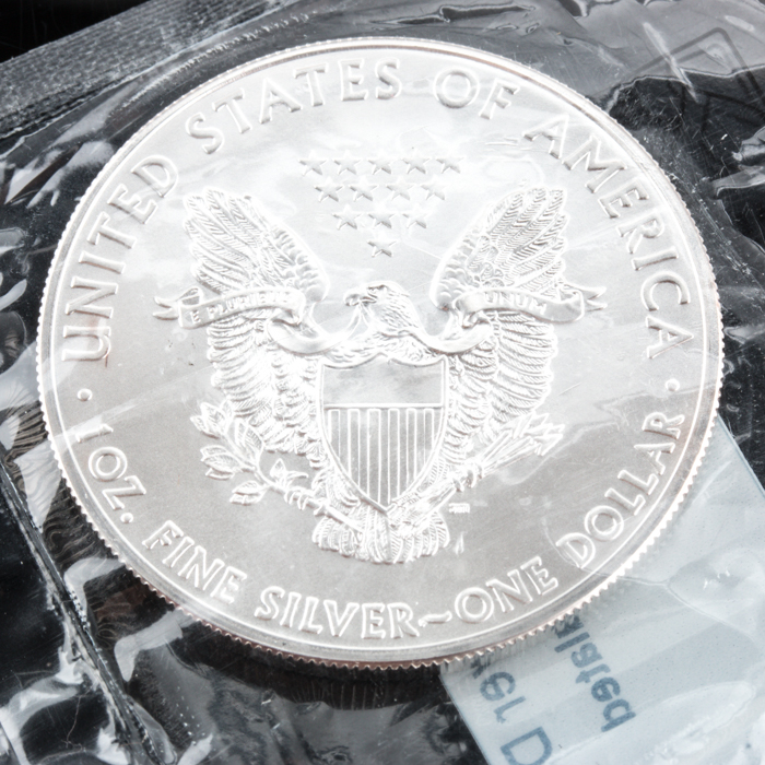 2012 and 2013 American Silver Eagle Dollars