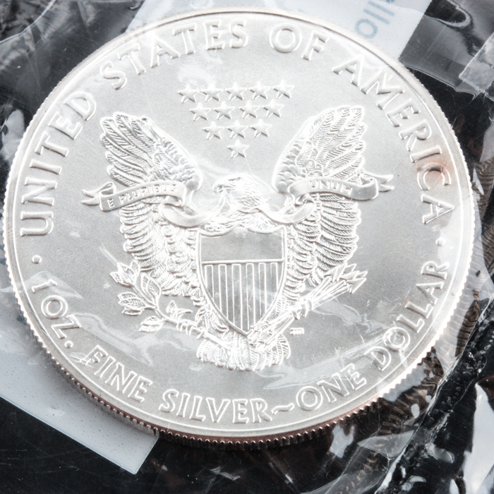 2012 and 2013 American Silver Eagle Dollars