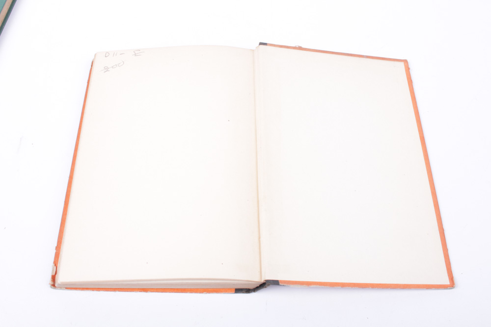 1920 "The Antichrist" by Friedrich Nietzsche