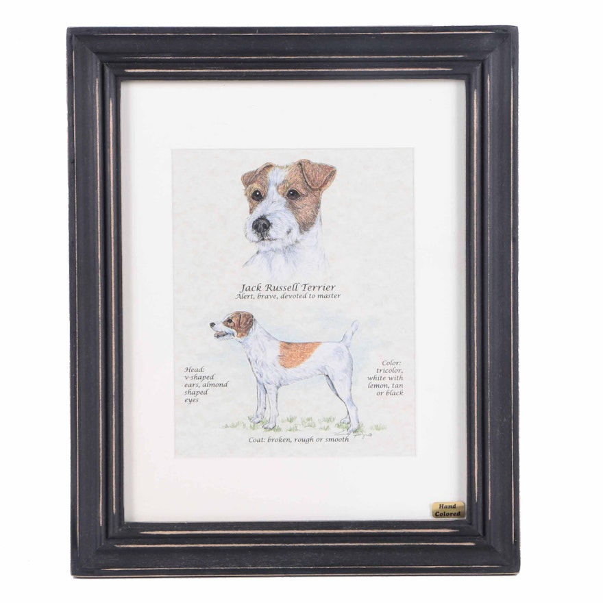 Hand Colored Lithograph on Paper "Jack Russell Terrier"