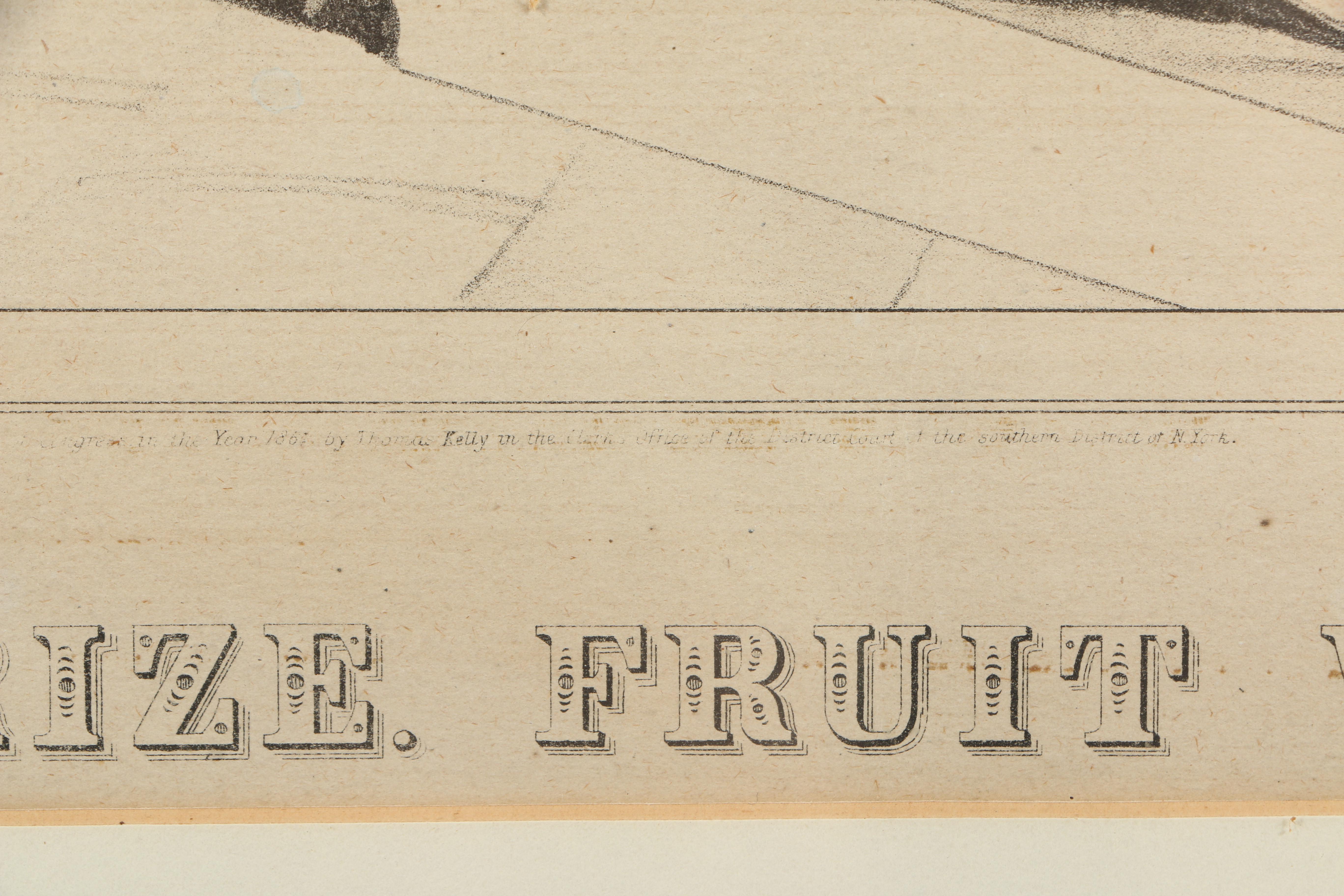 Hand-Colored Lithograph Print on Paper "American Prize. Fruit With Basket"