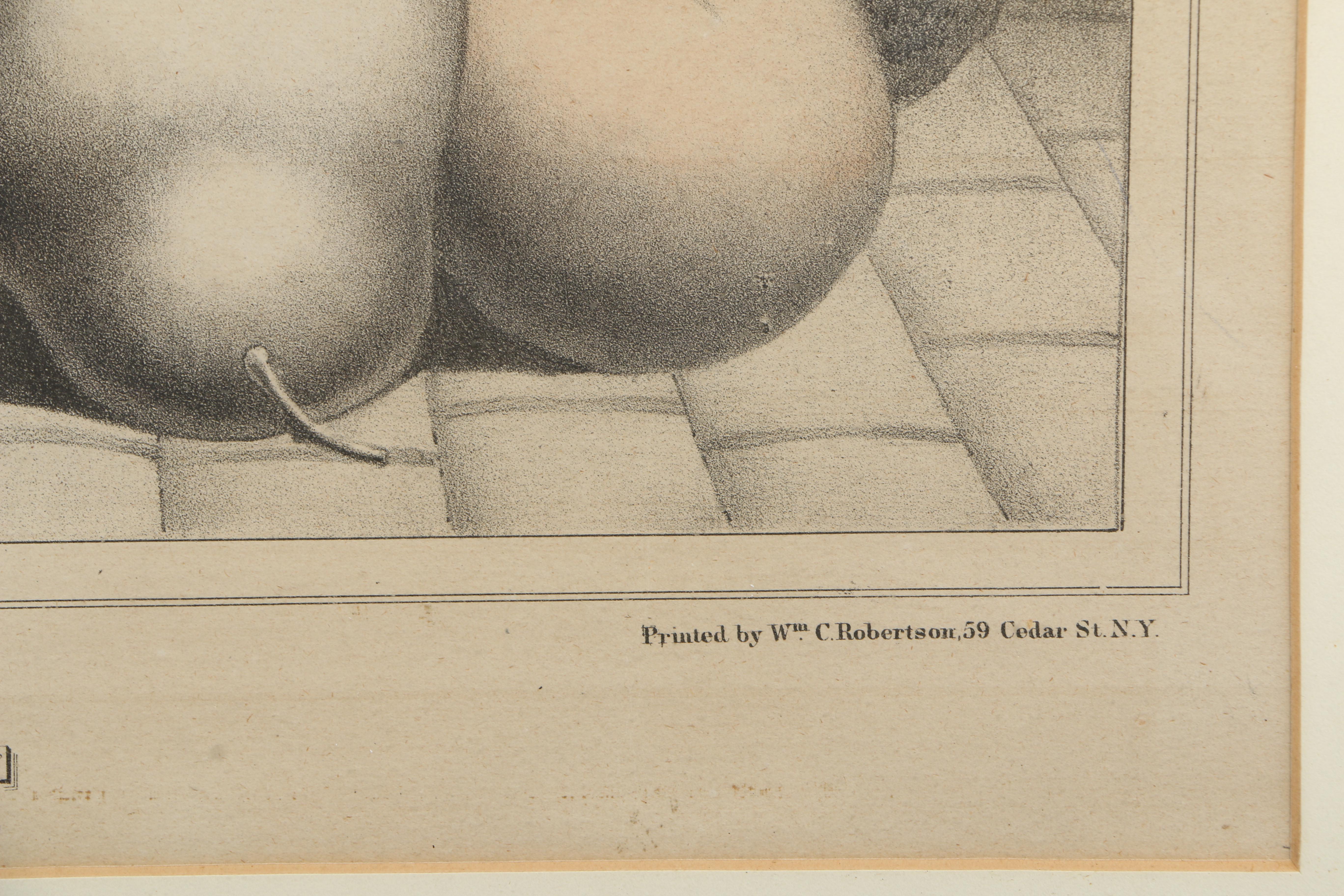 Hand-Colored Lithograph Print on Paper "American Prize. Fruit With Basket"