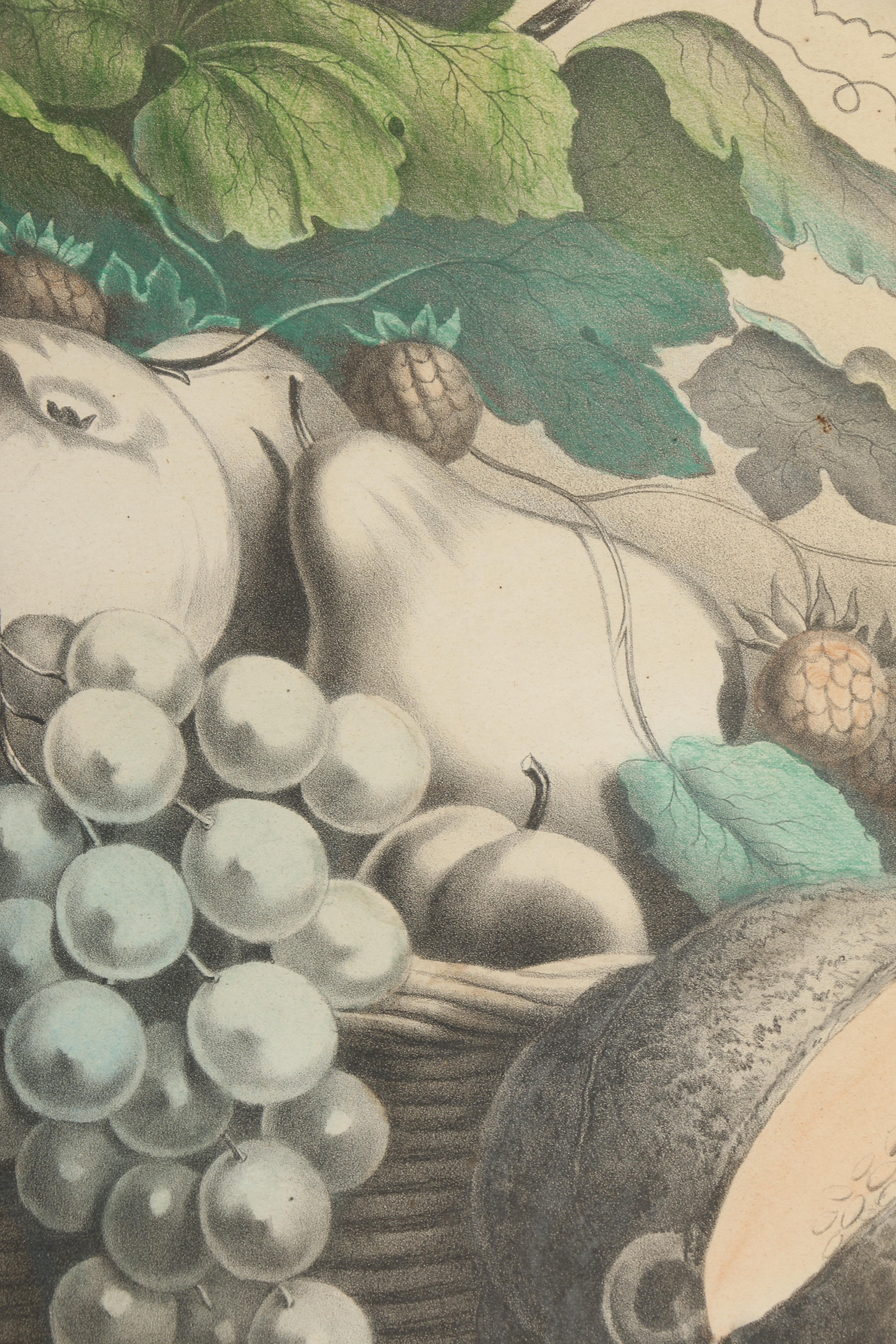 Hand-Colored Lithograph Print on Paper "American Prize. Fruit With Basket"