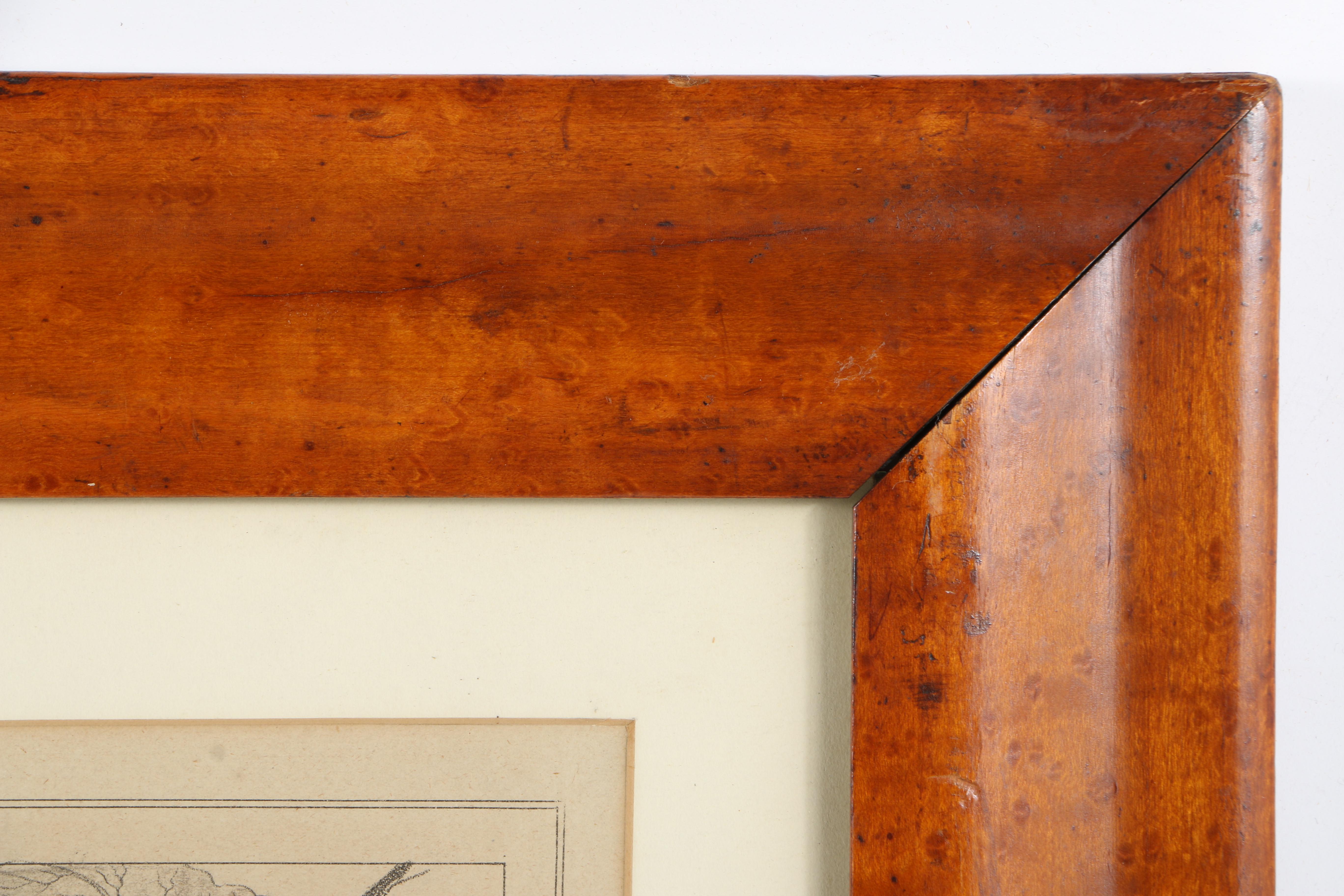 Hand-Colored Lithograph Print on Paper "American Prize. Fruit With Basket"