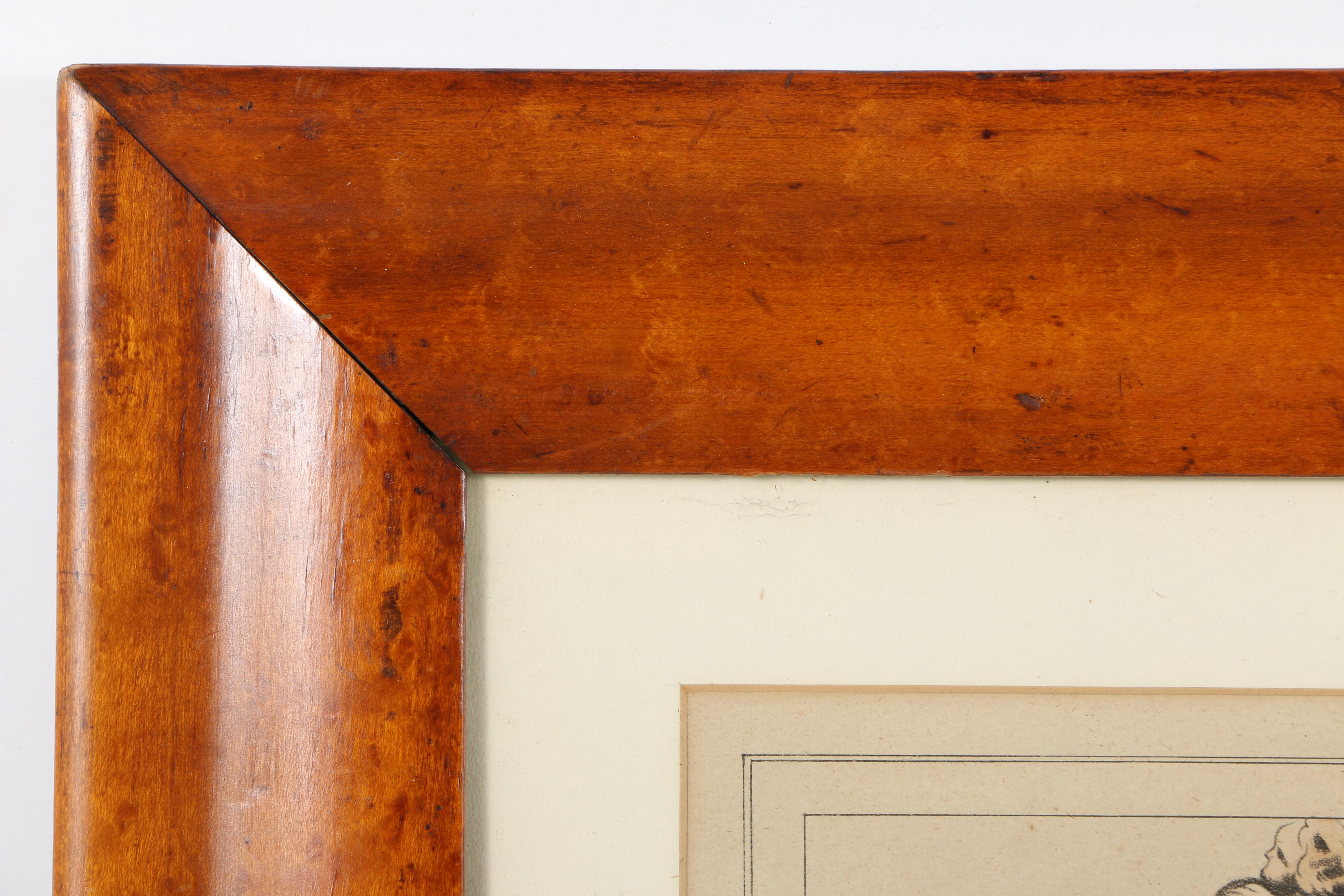 Hand-Colored Lithograph Print on Paper "American Prize. Fruit With Basket"