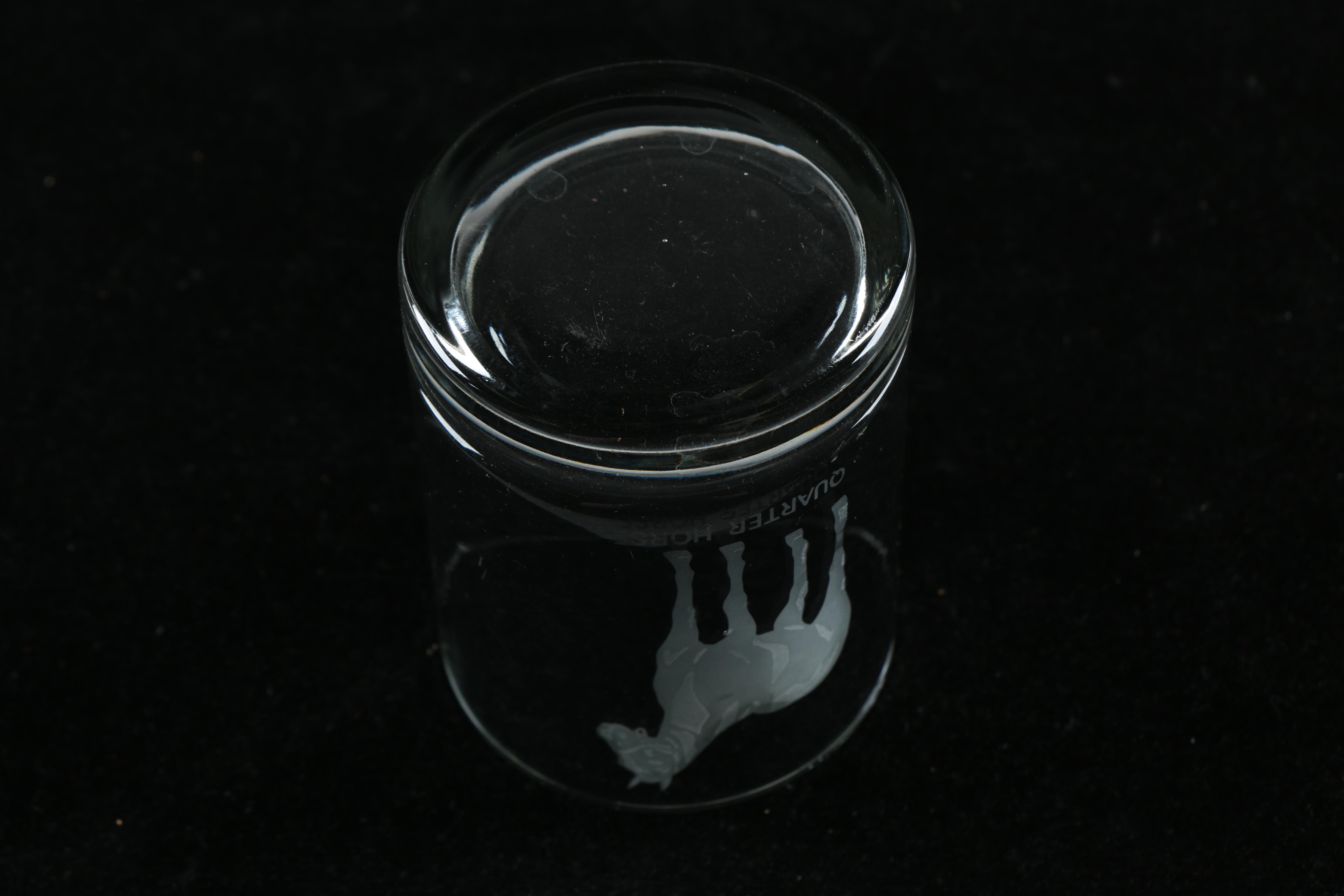 Etched Glass Tumblers with Horse Design