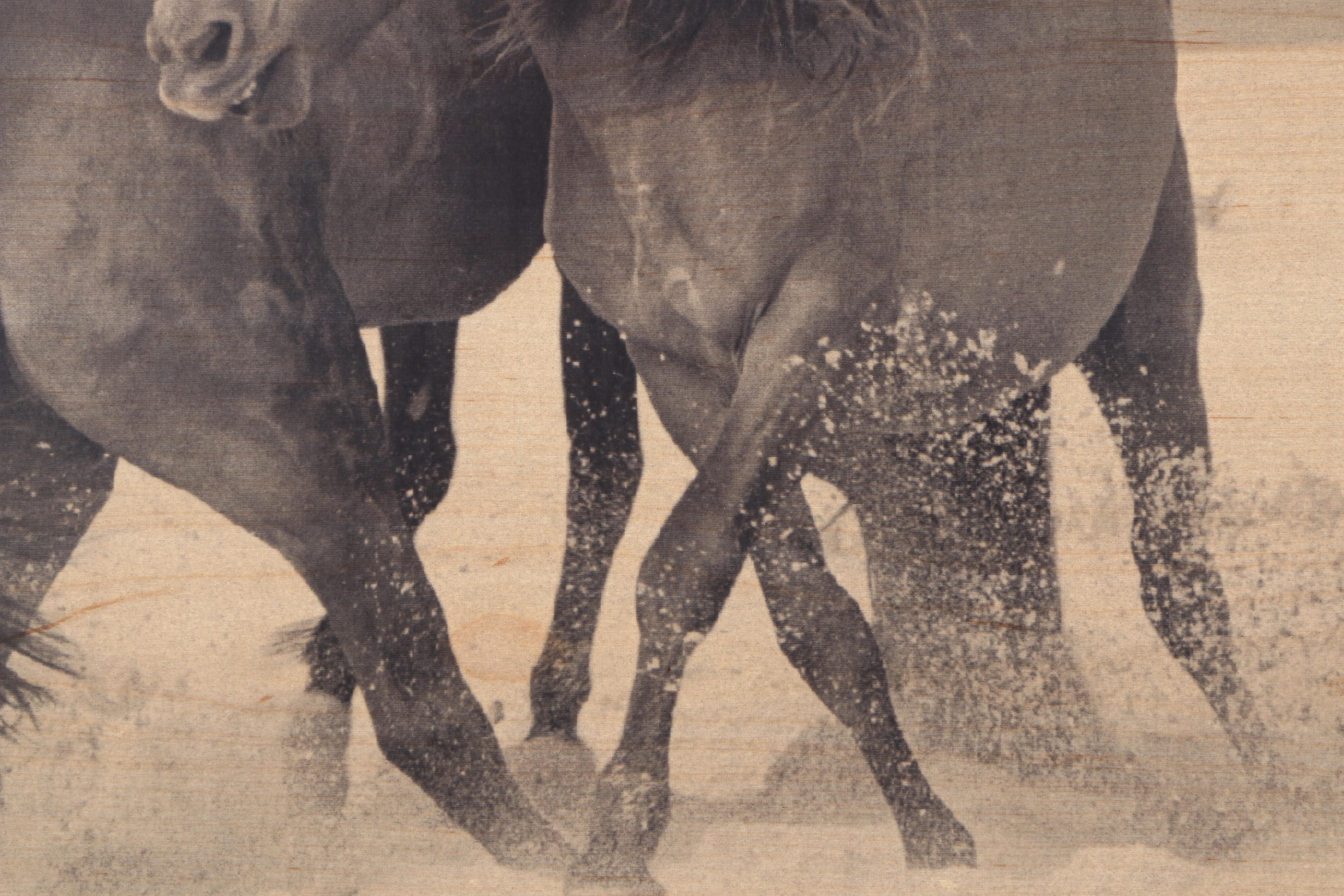 Roberto Dutesco "Sable Island" Lithograph