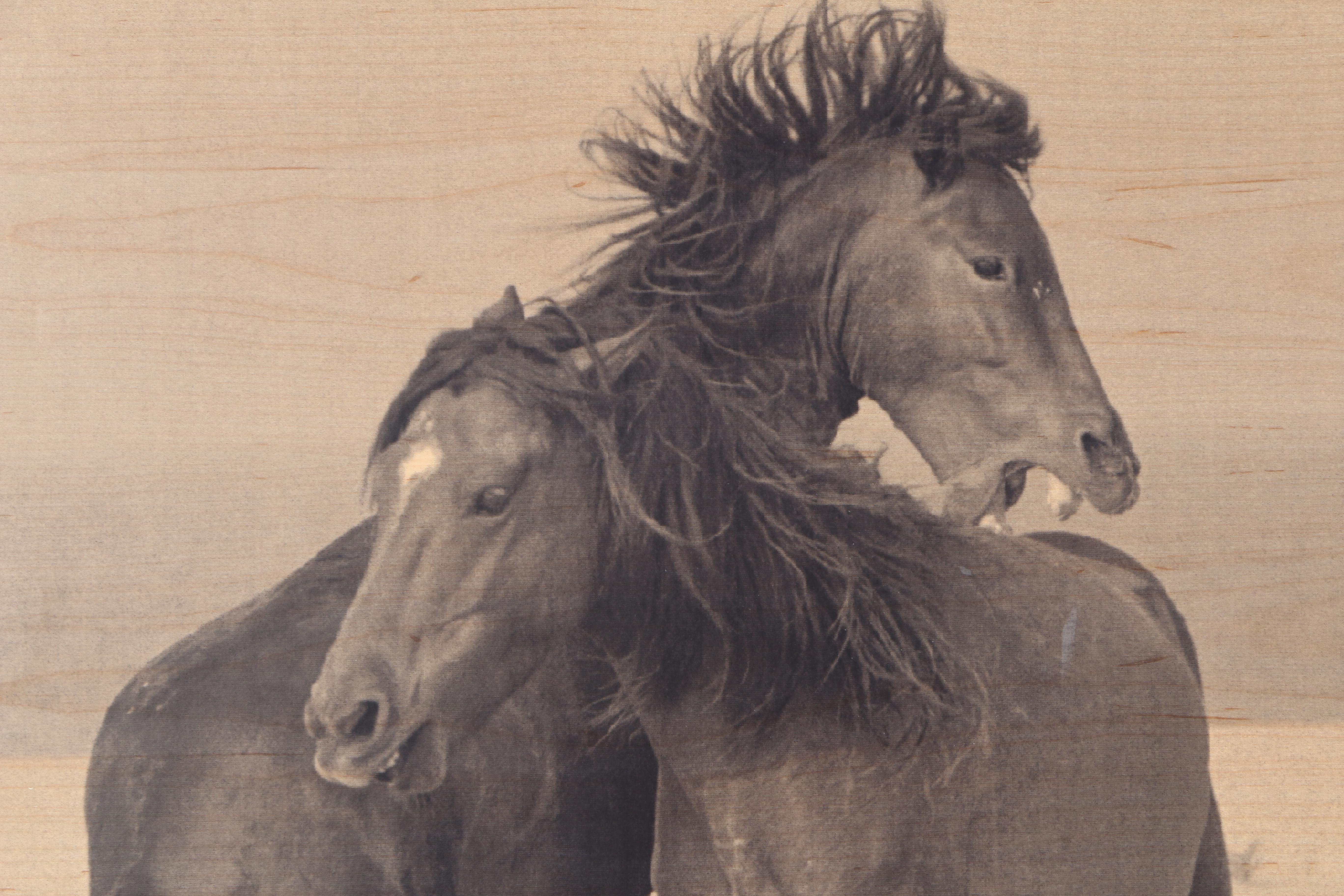 Roberto Dutesco "Sable Island" Lithograph