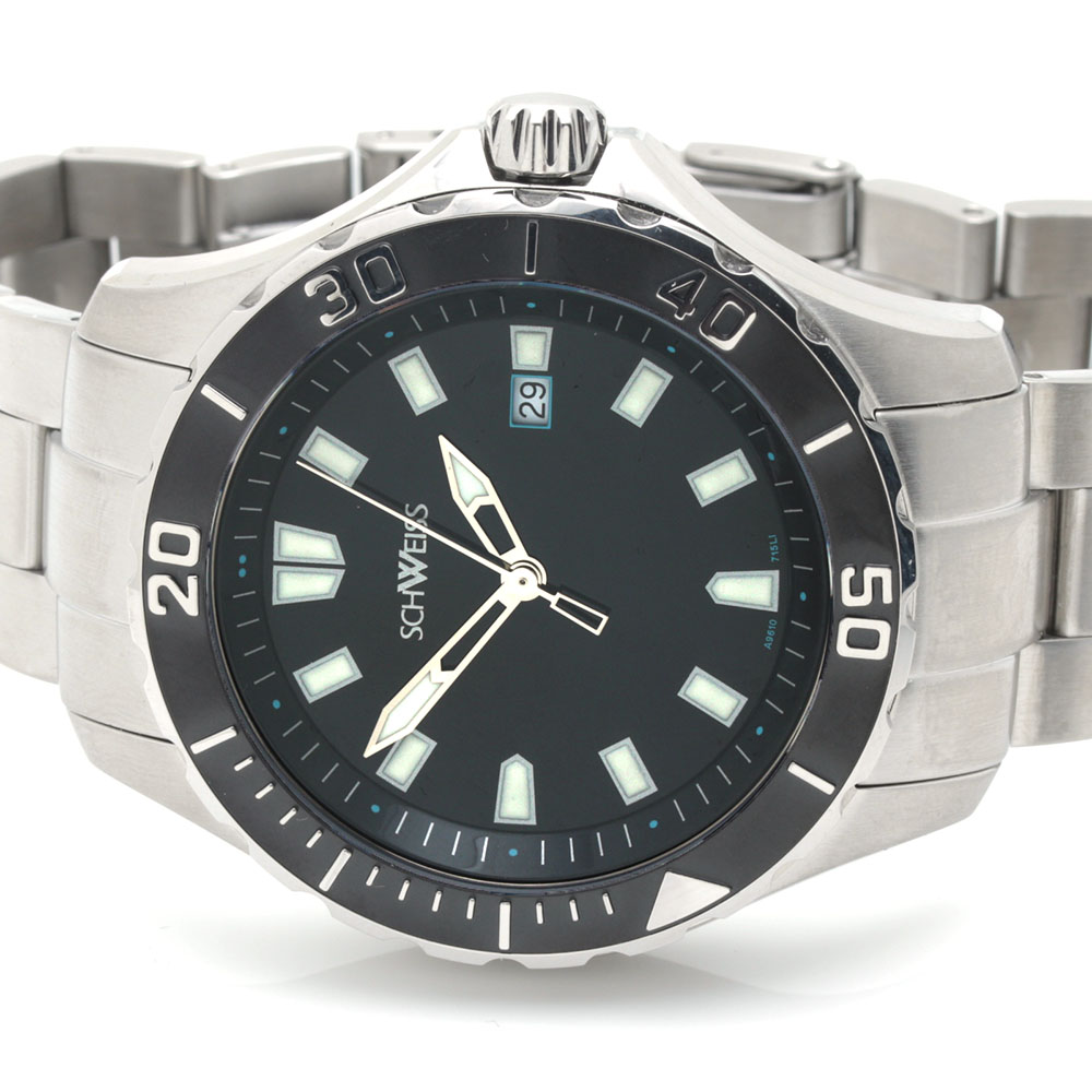 Schweiss Stainless Steel Watch