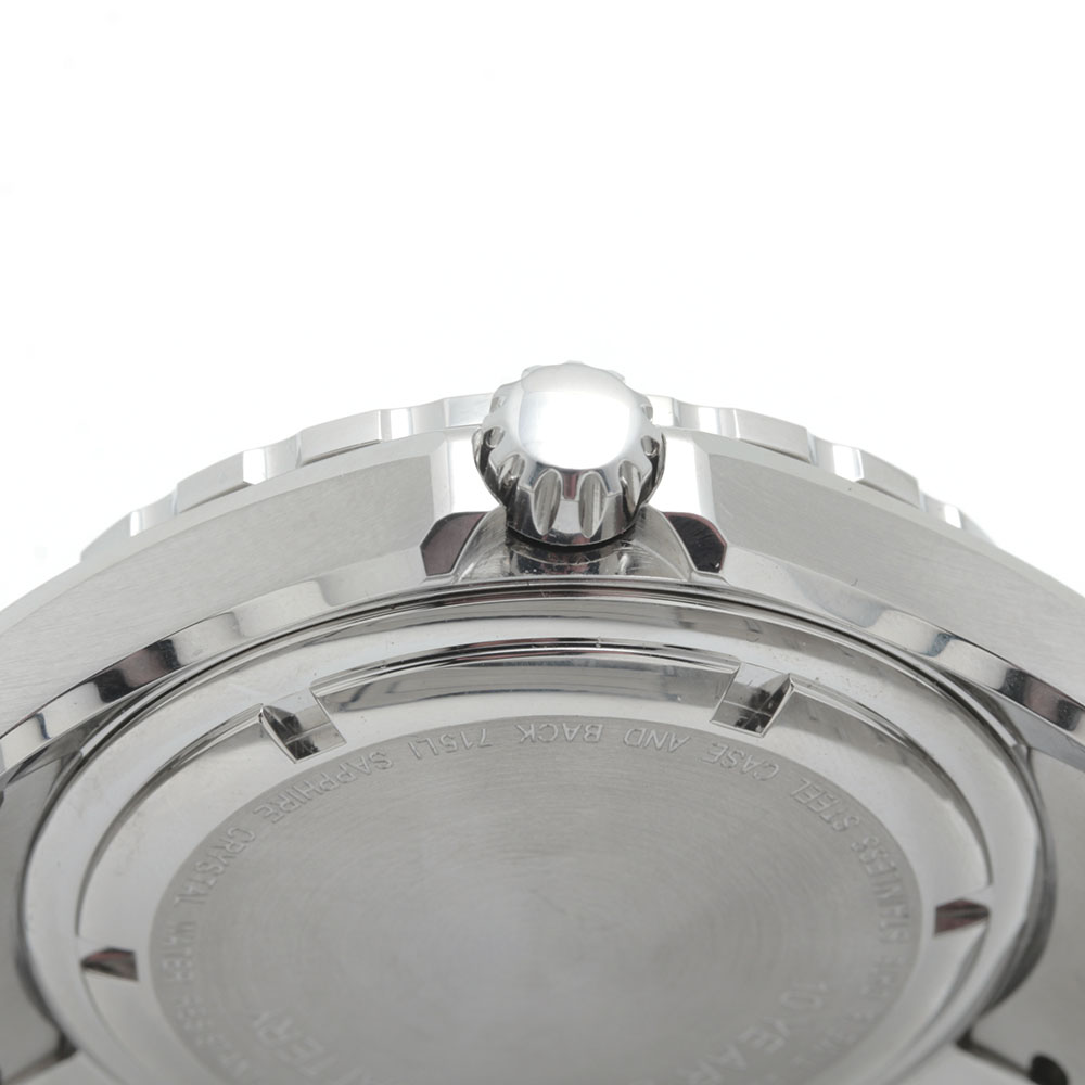 Schweiss Stainless Steel Watch