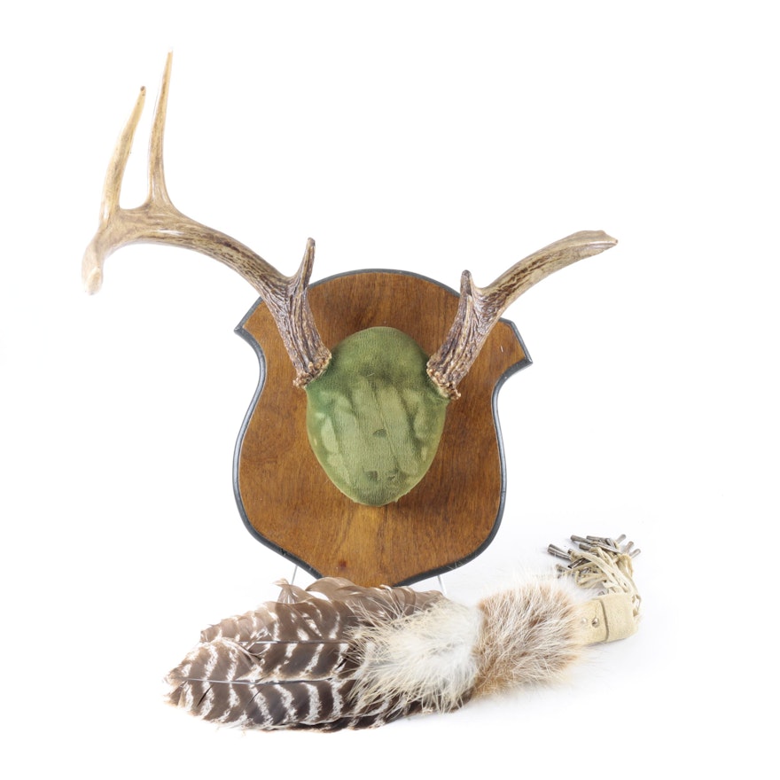 Small Antler Mount and Feather Fan