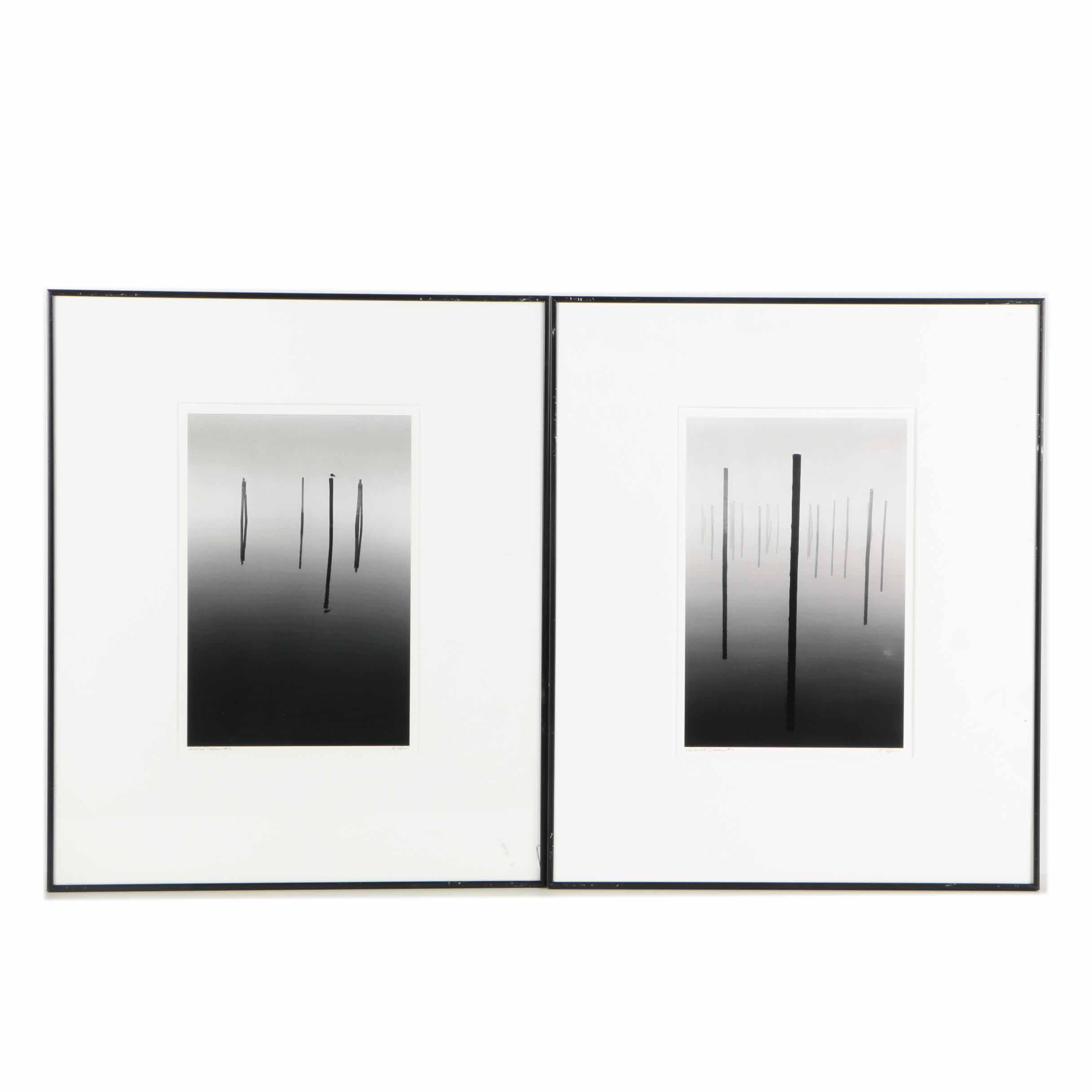 Black and White Photographs "Vertical Dreams #2 and #3"