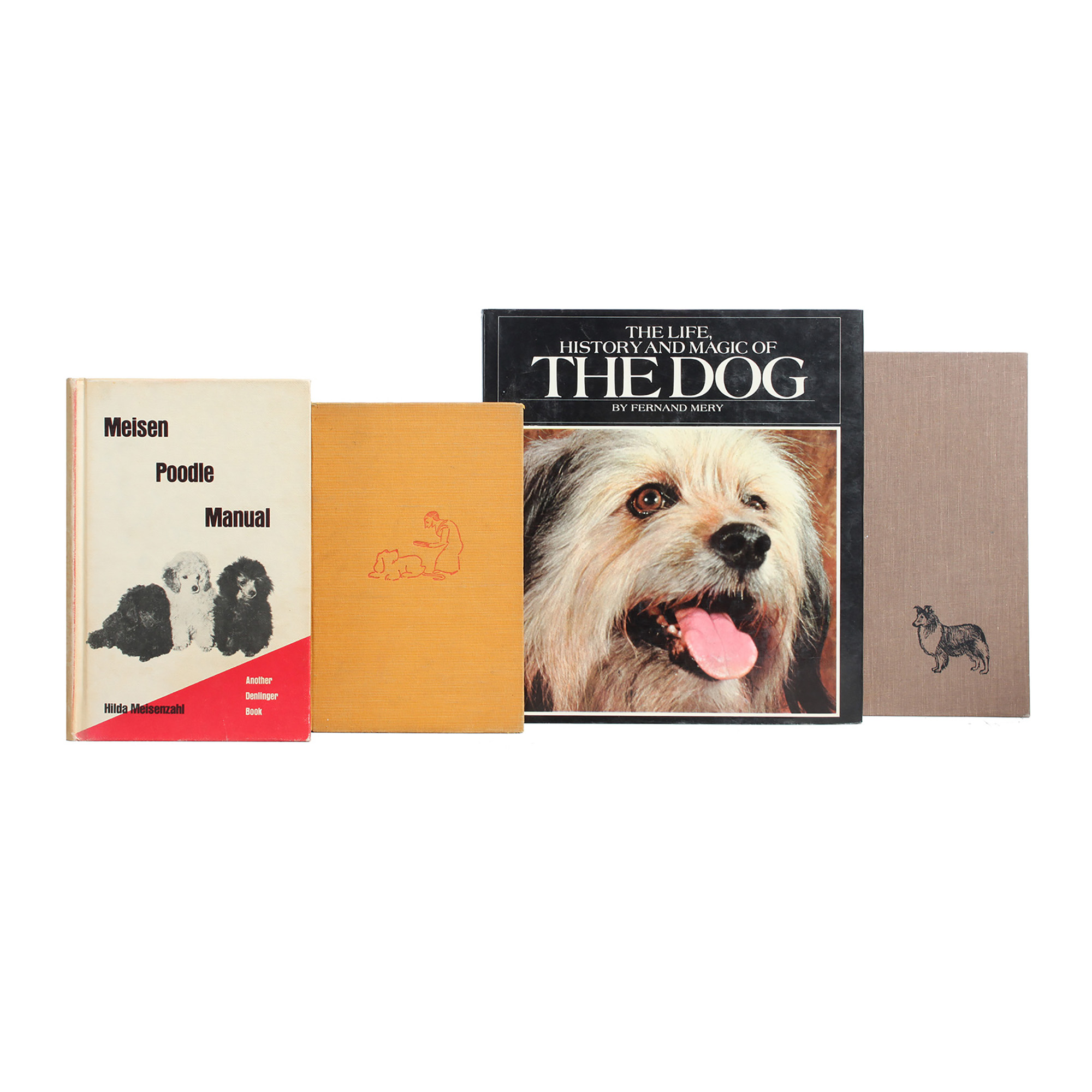 Vintage Nonfiction Books on Dogs